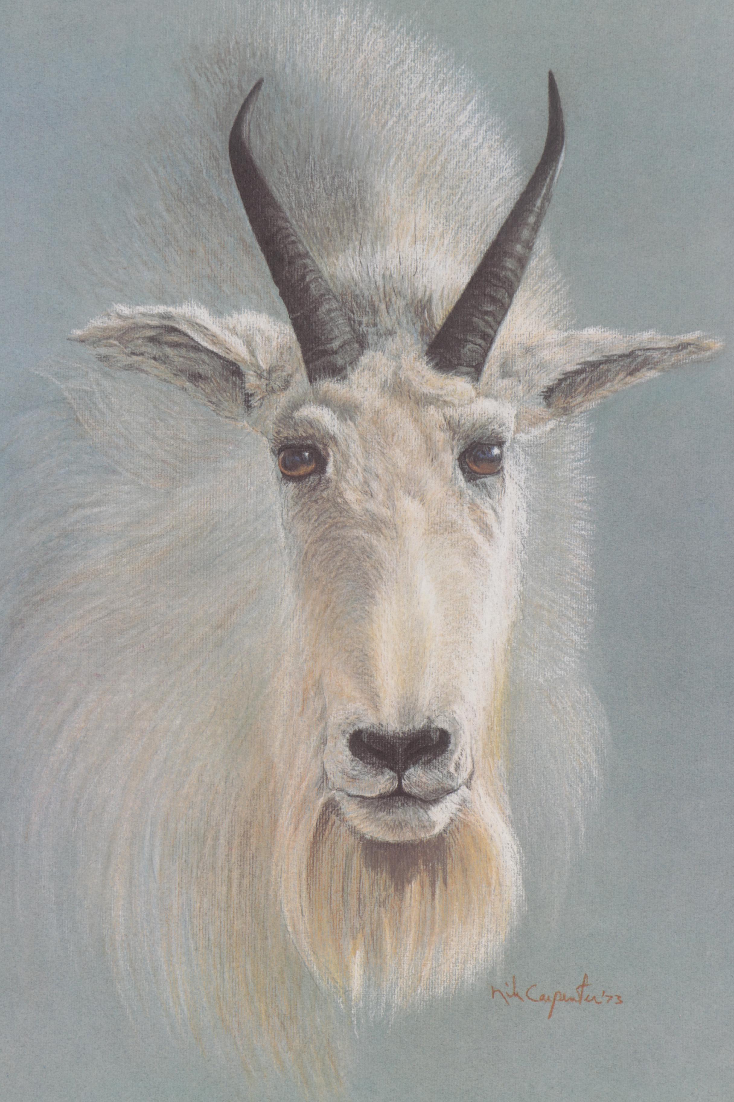 Nik Carpenter Offset Lithographs