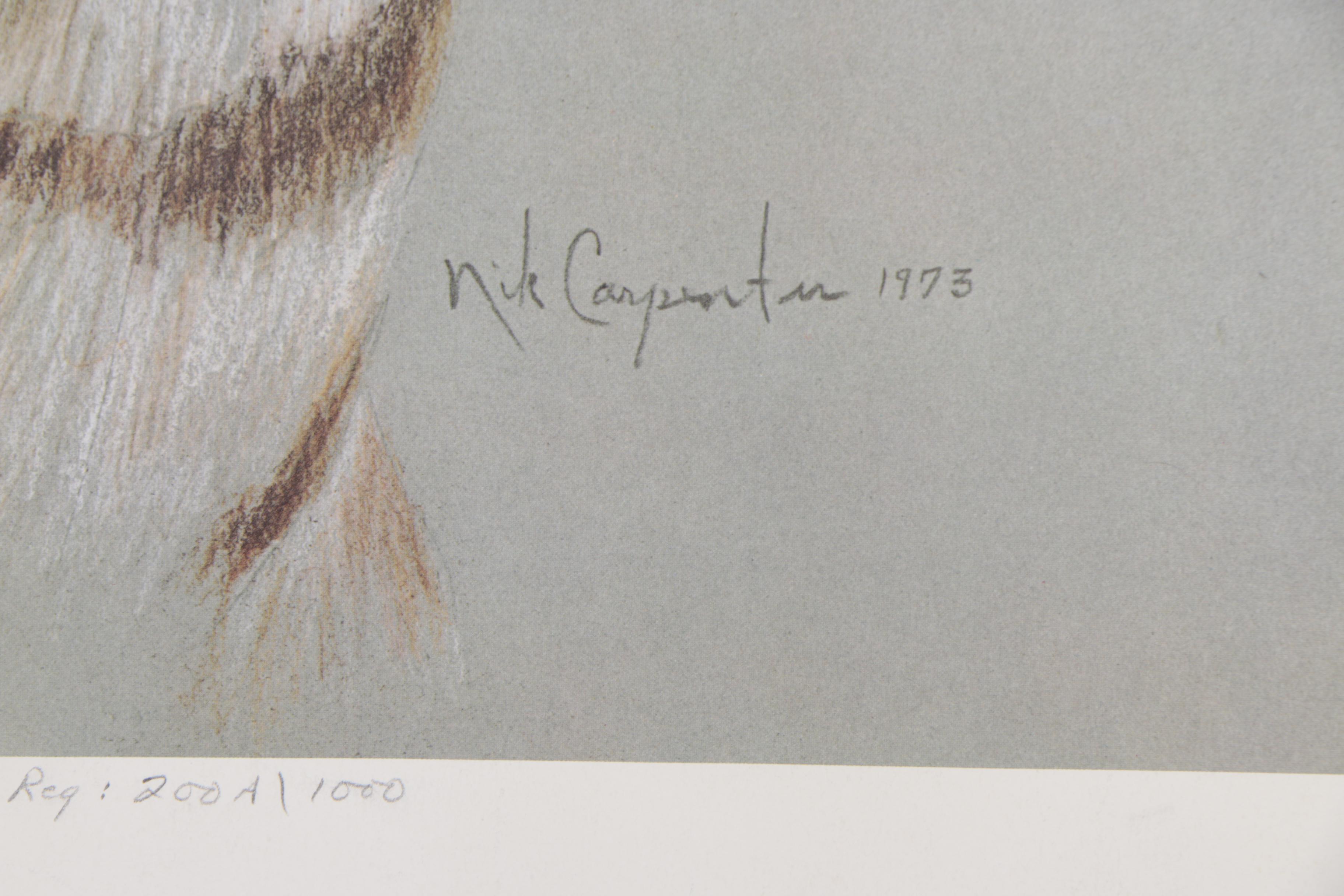 Nik Carpenter Offset Lithographs