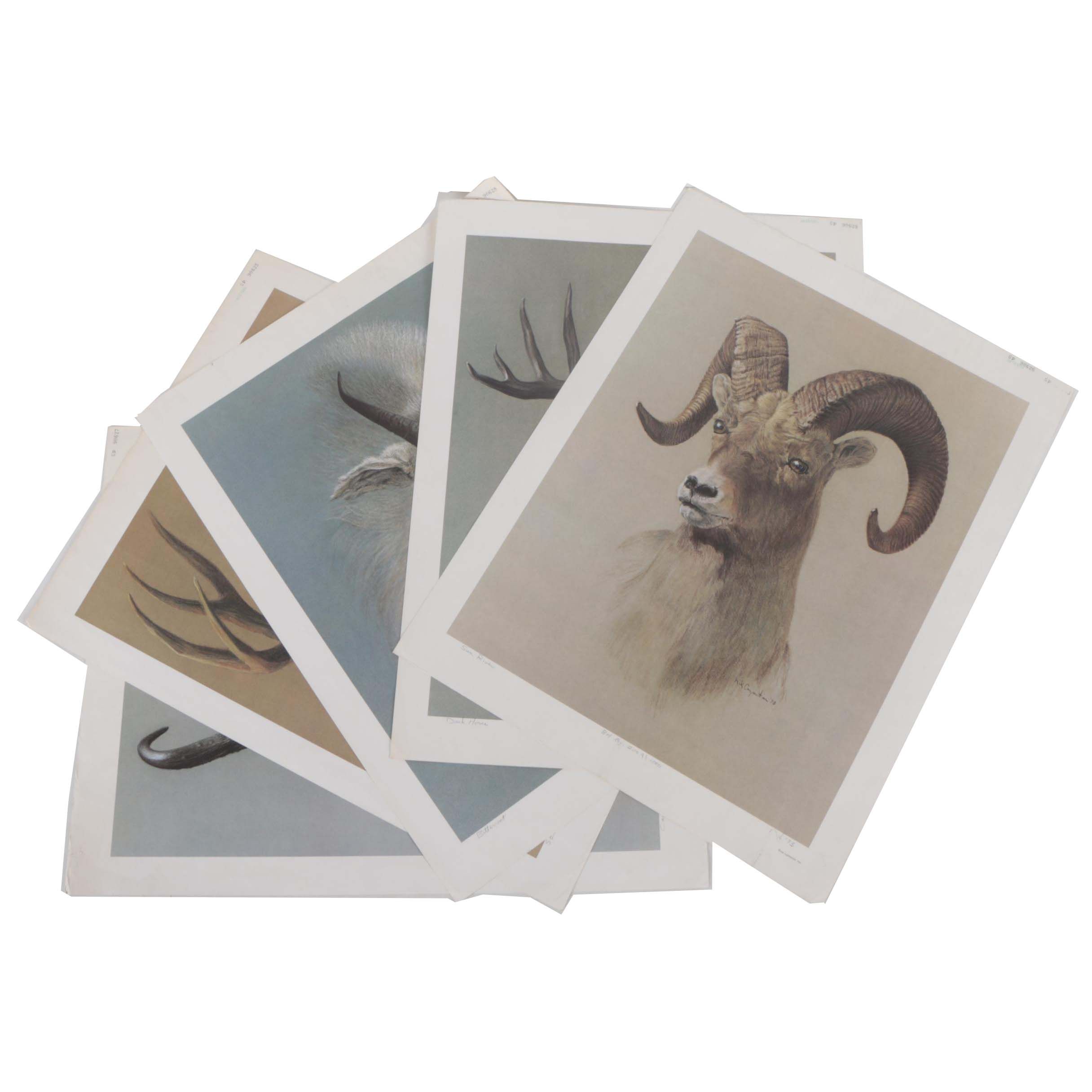 Nik Carpenter Offset Lithographs