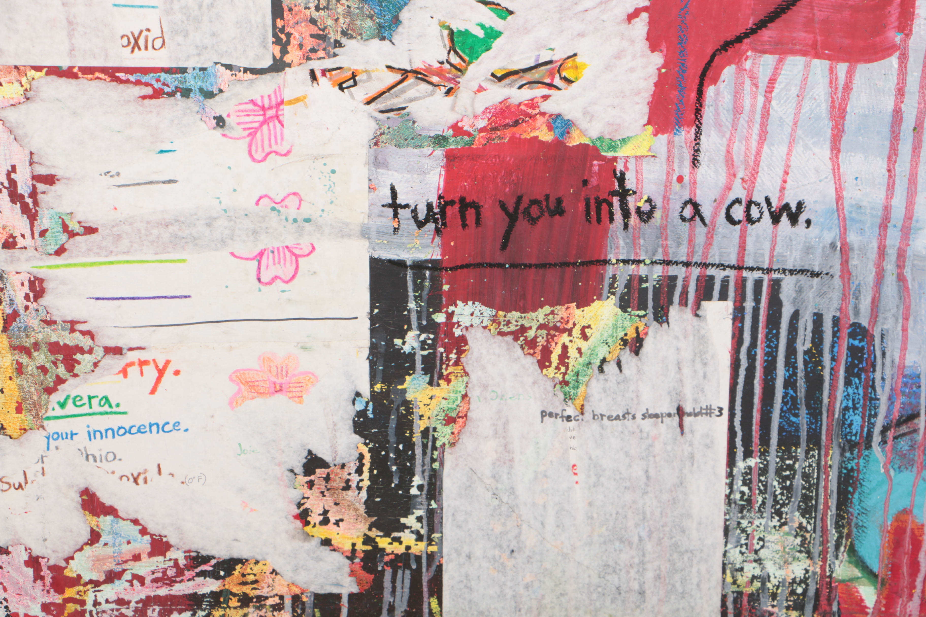 Adam Maloney 2001 Mixed Media on Canvas "Jupiter and Io"