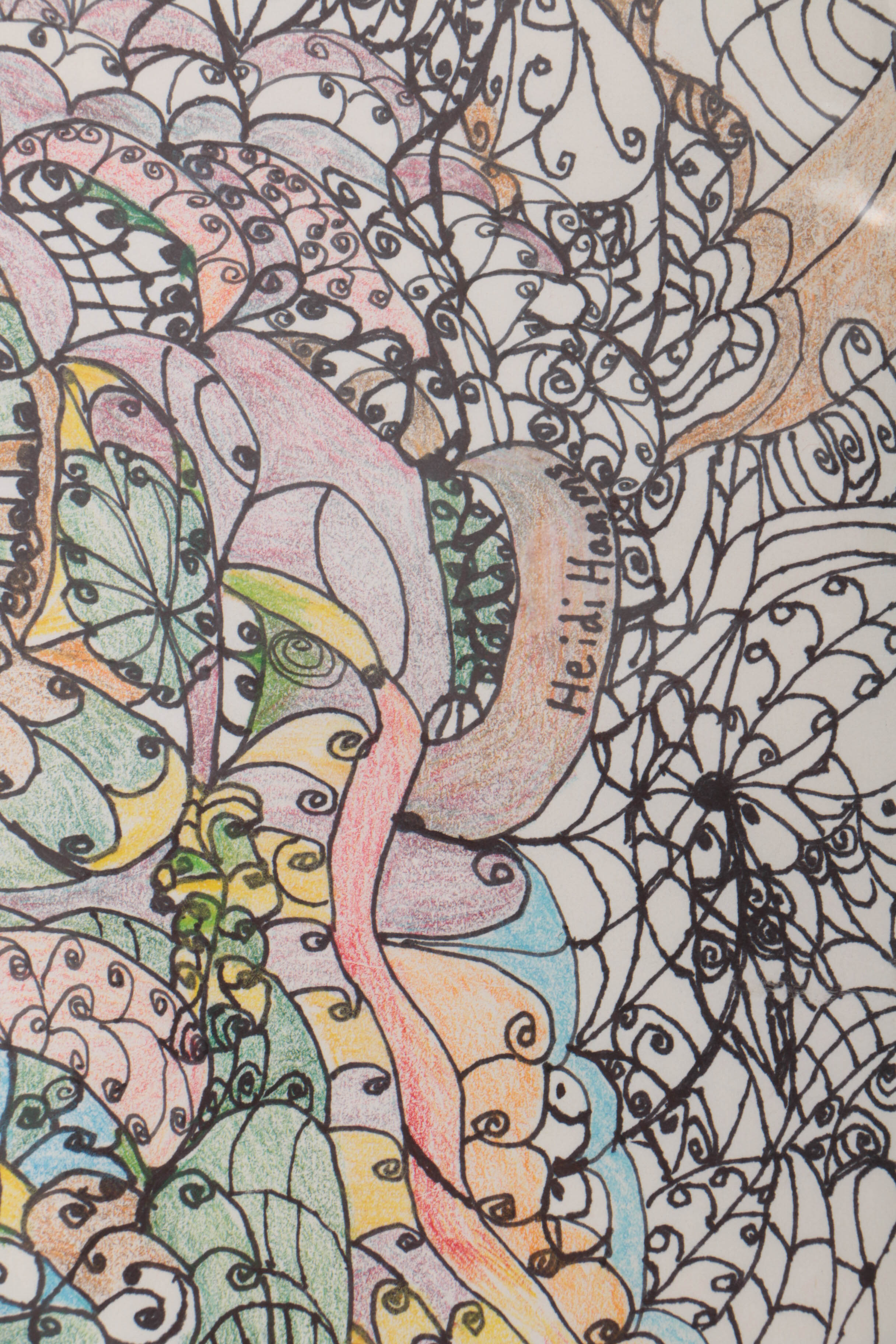 Heidi Hamms 2015 Ink and Colored Pencil Drawing on Paper "Festival"