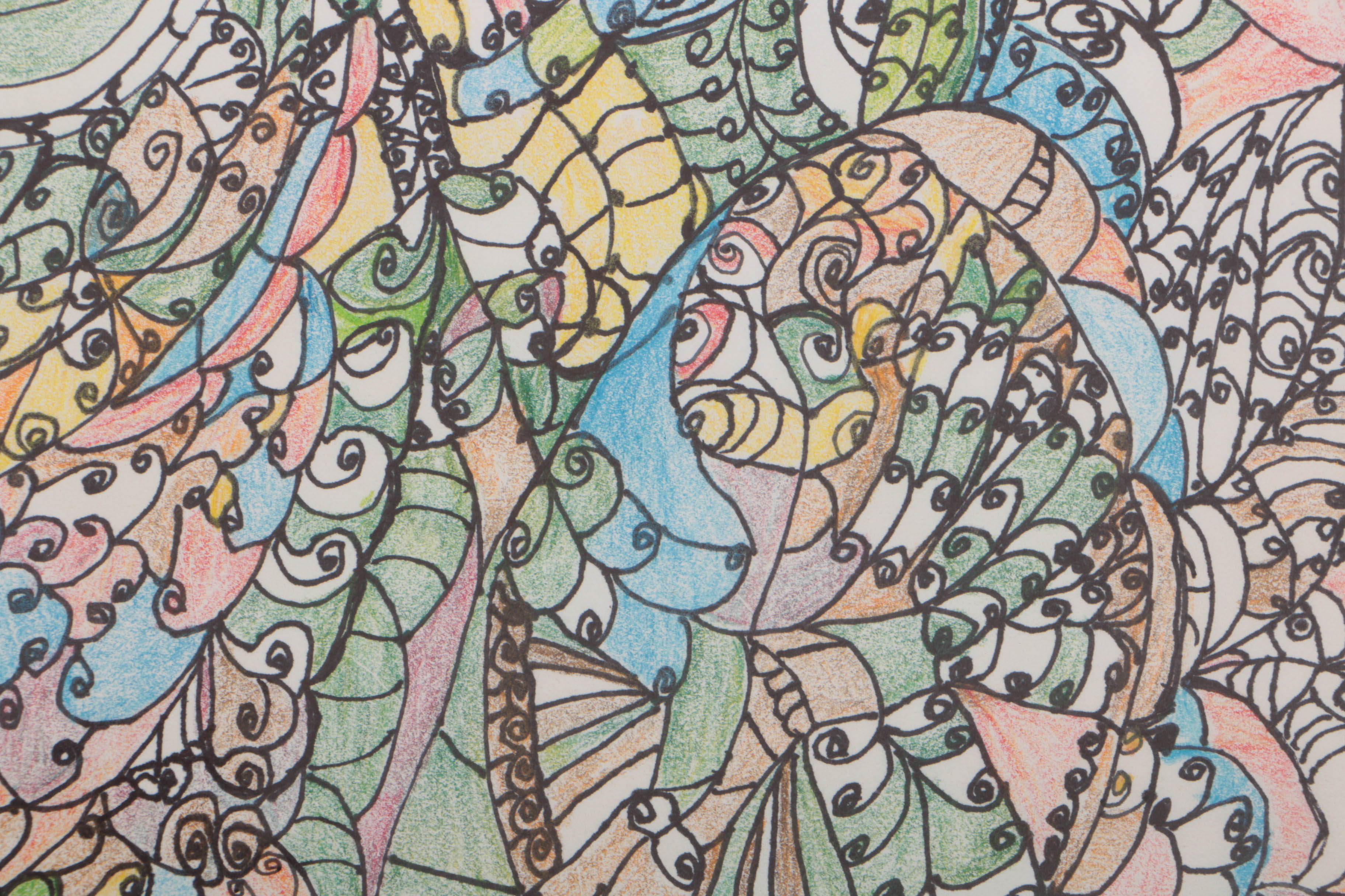 Heidi Hamms 2015 Ink and Colored Pencil Drawing on Paper "Festival"