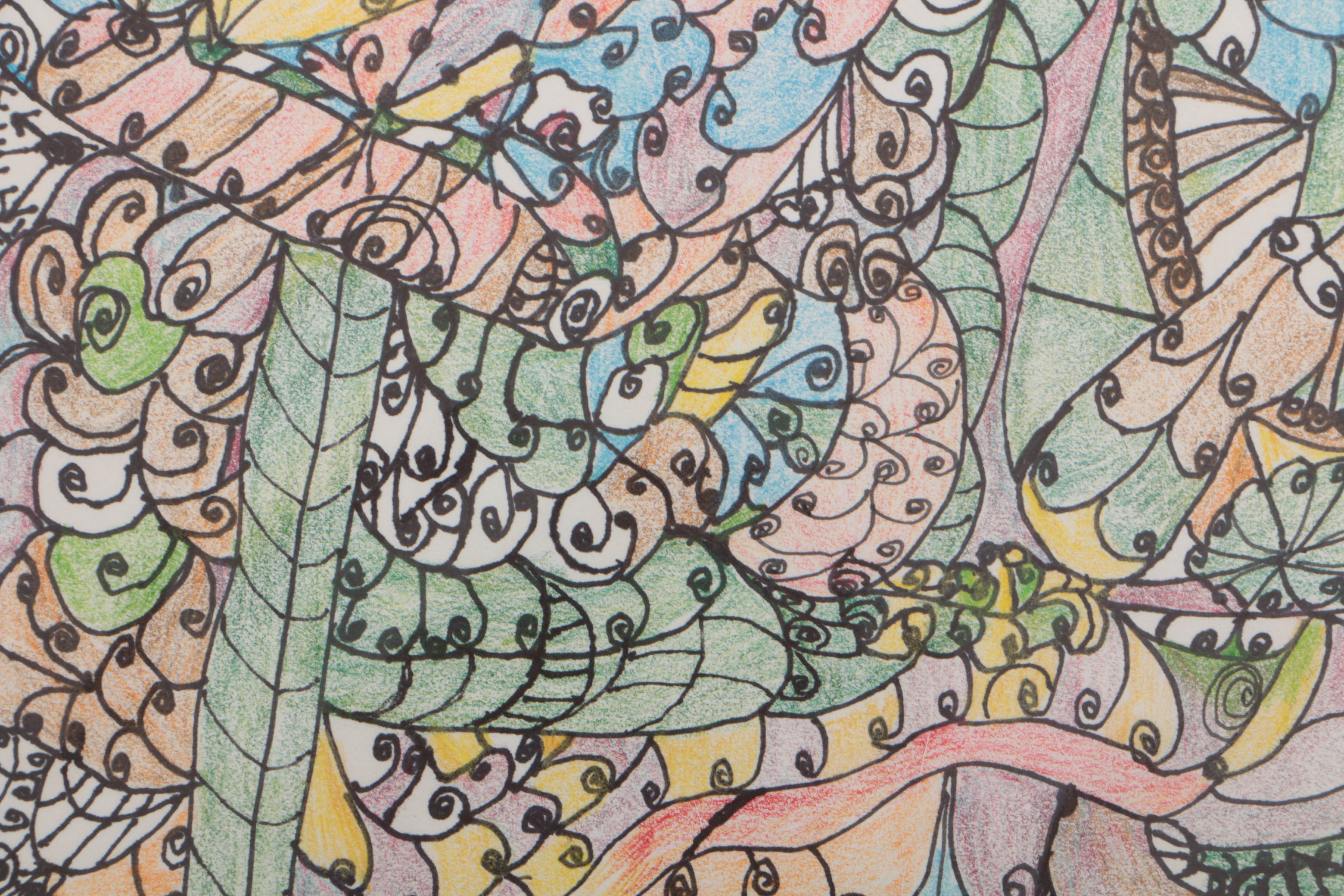 Heidi Hamms 2015 Ink and Colored Pencil Drawing on Paper "Festival"