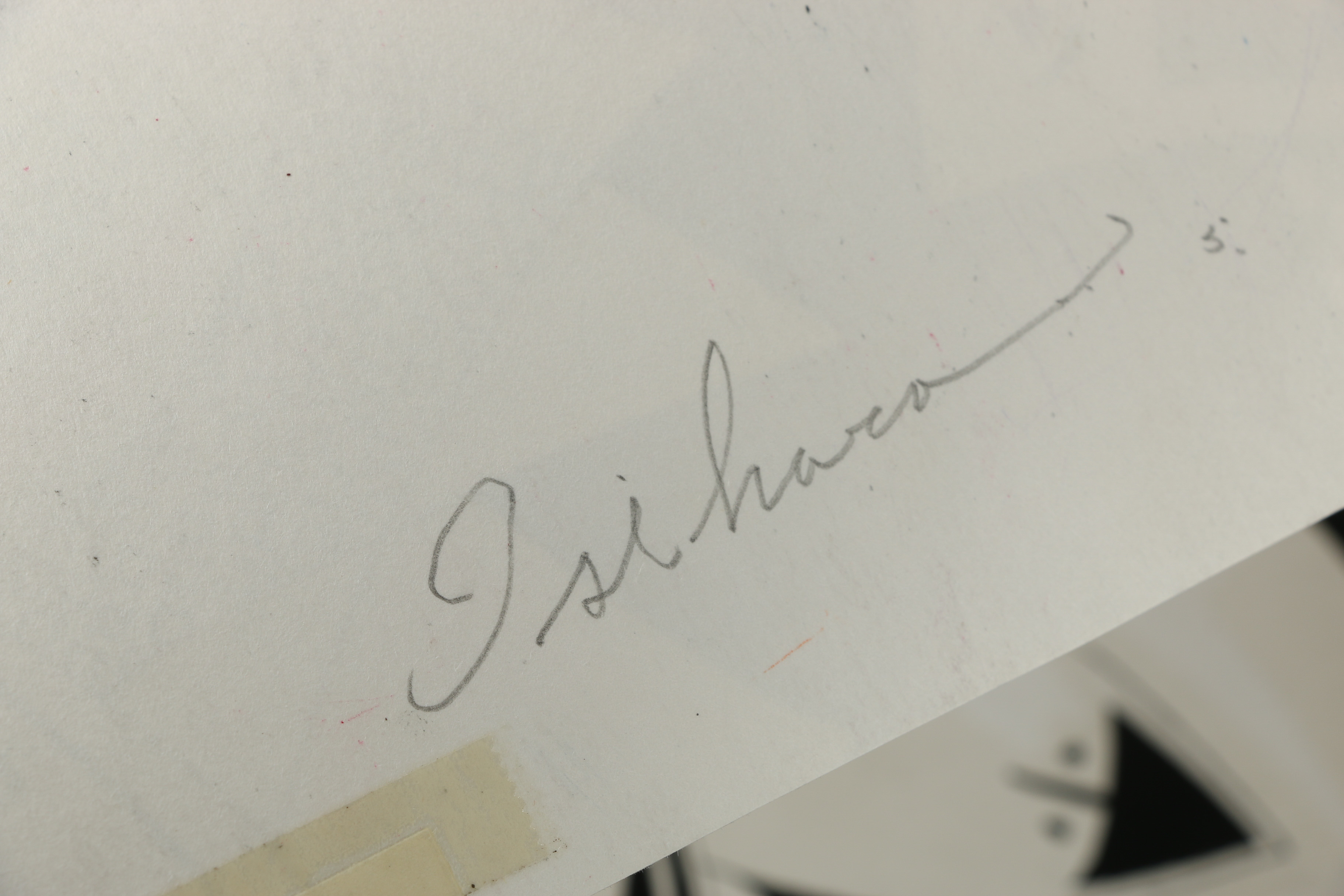 Vintage Painted Textile Design Proofs