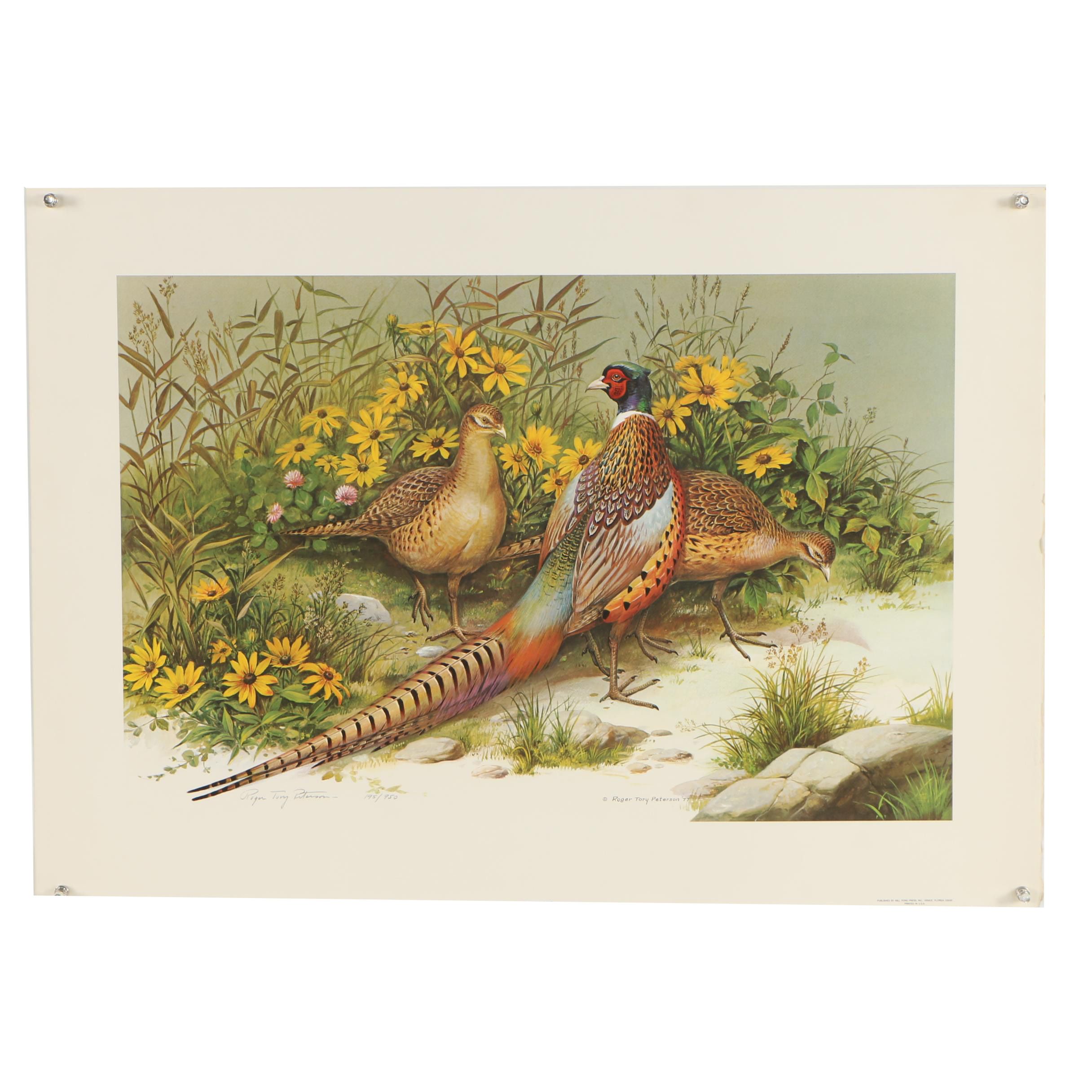 Roger Tory Peterson Limited Edition Offset Lithograph "Ring-Necked Pheasant"
