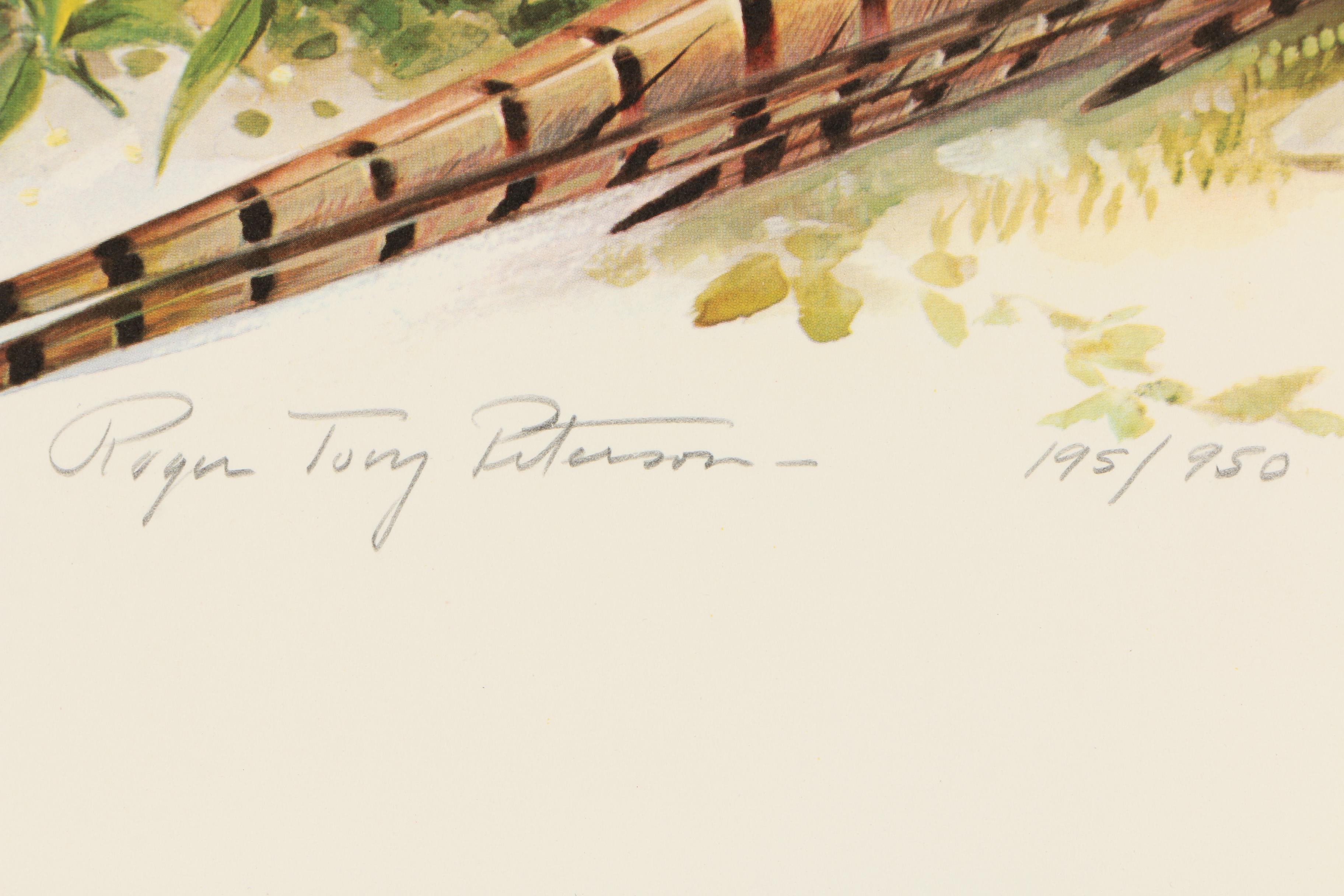 Roger Tory Peterson Limited Edition Offset Lithograph "Ring-Necked Pheasant"