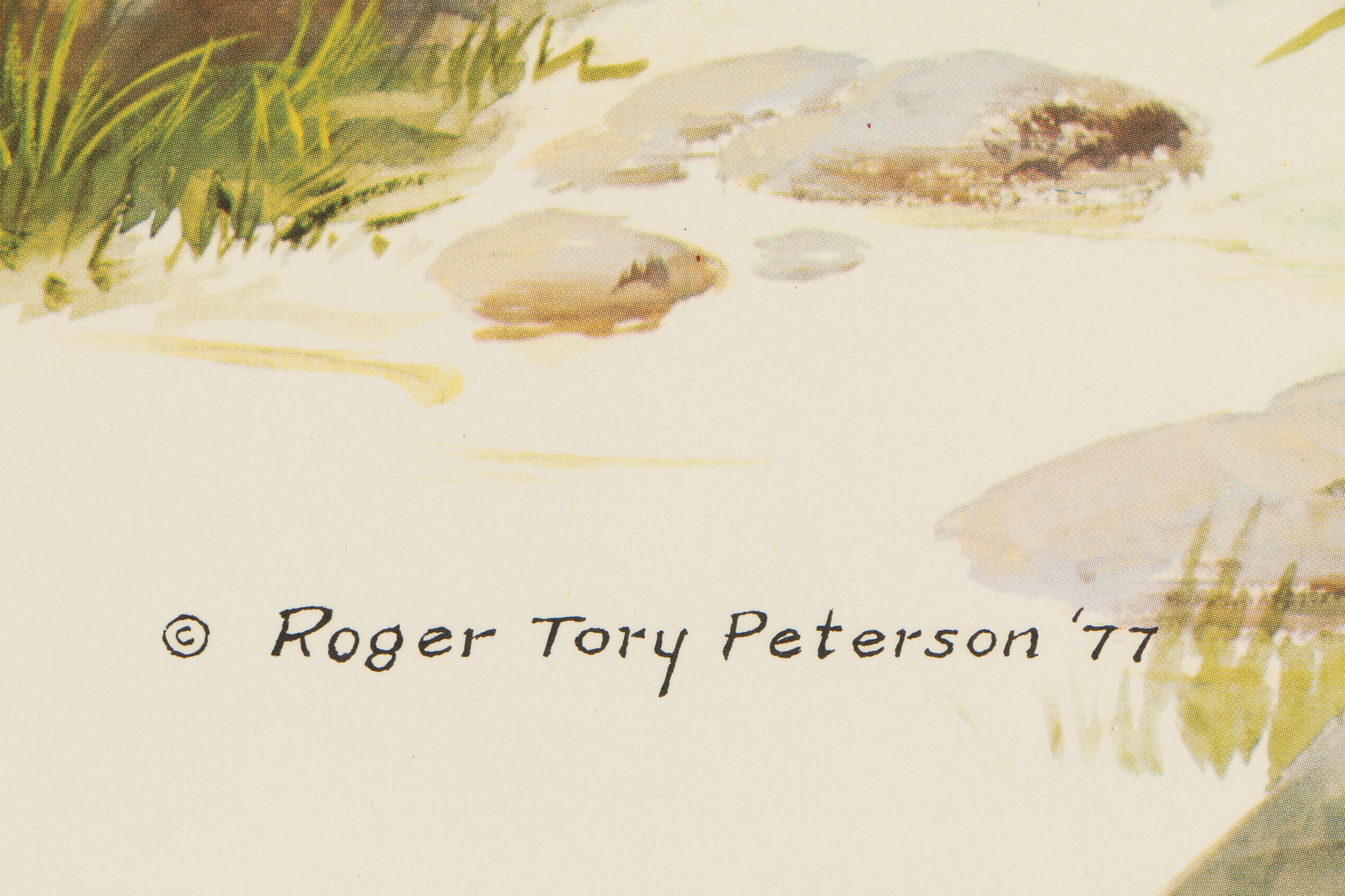 Roger Tory Peterson Limited Edition Offset Lithograph "Ring-Necked Pheasant"