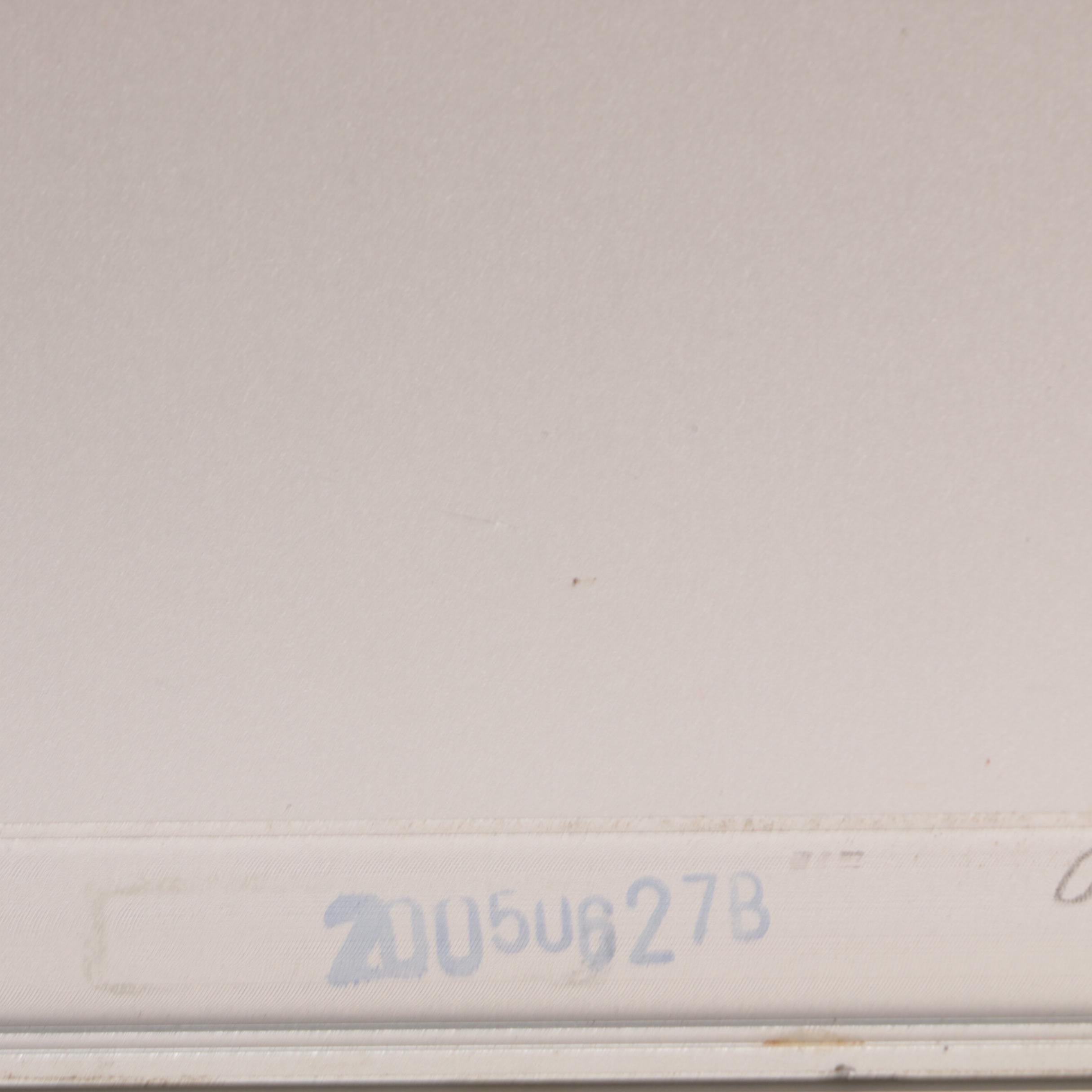 20" Apple Cinema Display Desktop Monitor