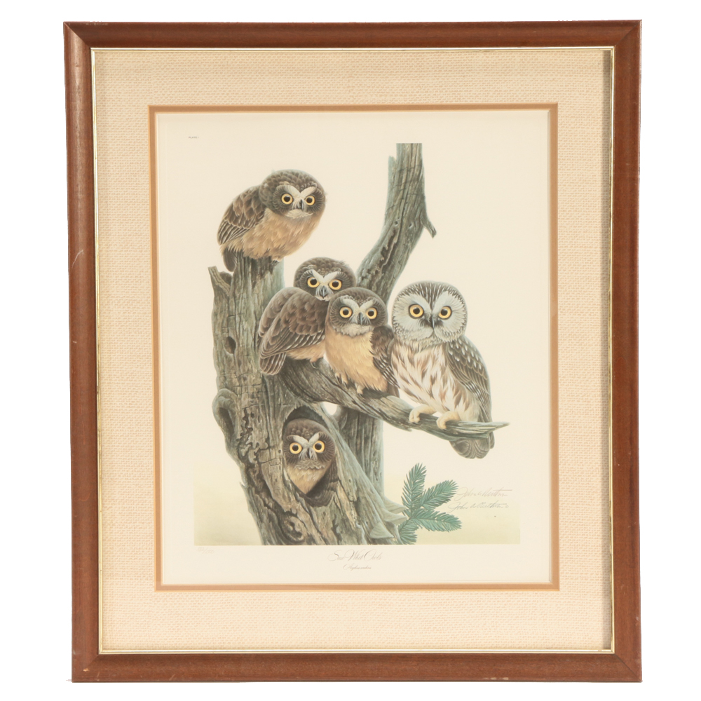 John Ruthven Limited Edition Offset Lithograph "Saw Whet Owls"