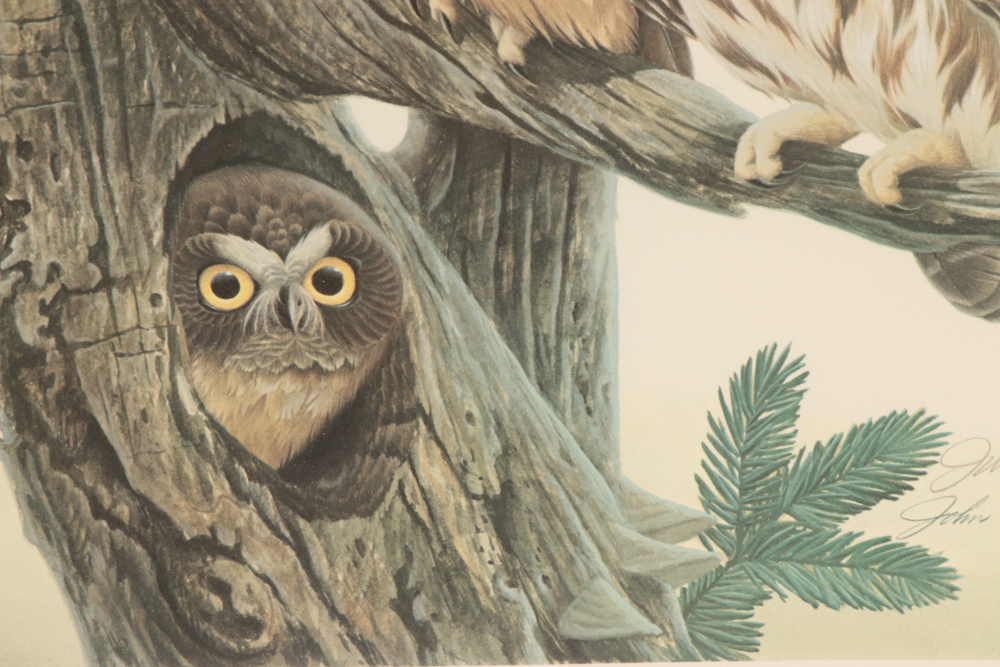 John Ruthven Limited Edition Offset Lithograph "Saw Whet Owls"