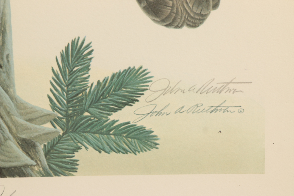 John Ruthven Limited Edition Offset Lithograph "Saw Whet Owls"