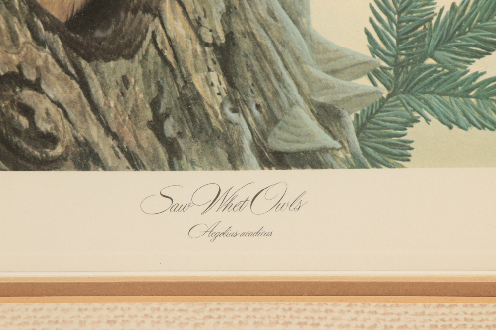 John Ruthven Limited Edition Offset Lithograph "Saw Whet Owls"