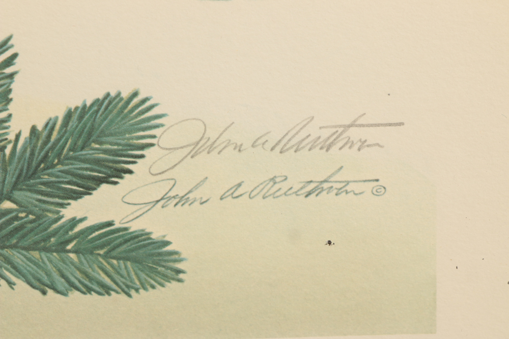 John Ruthven Limited Edition Offset Lithograph "Saw Whet Owls"