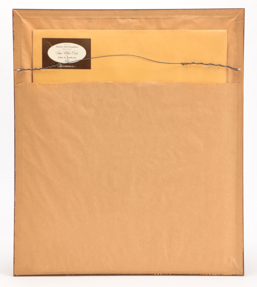 John Ruthven Limited Edition Offset Lithograph "Saw Whet Owls"