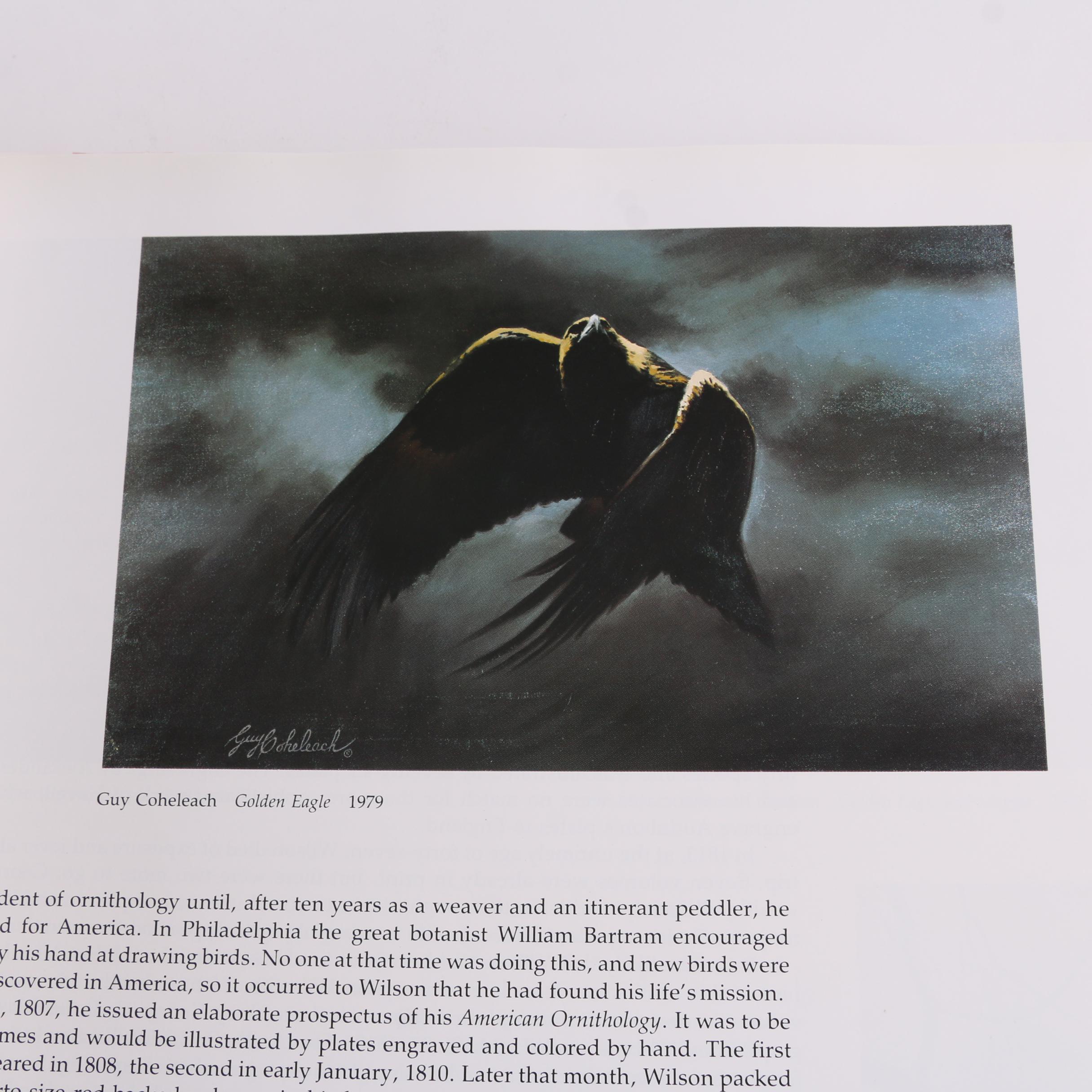 1993 First Artabras Edition "Audubon's Birds of America" Baby Elephant Folio