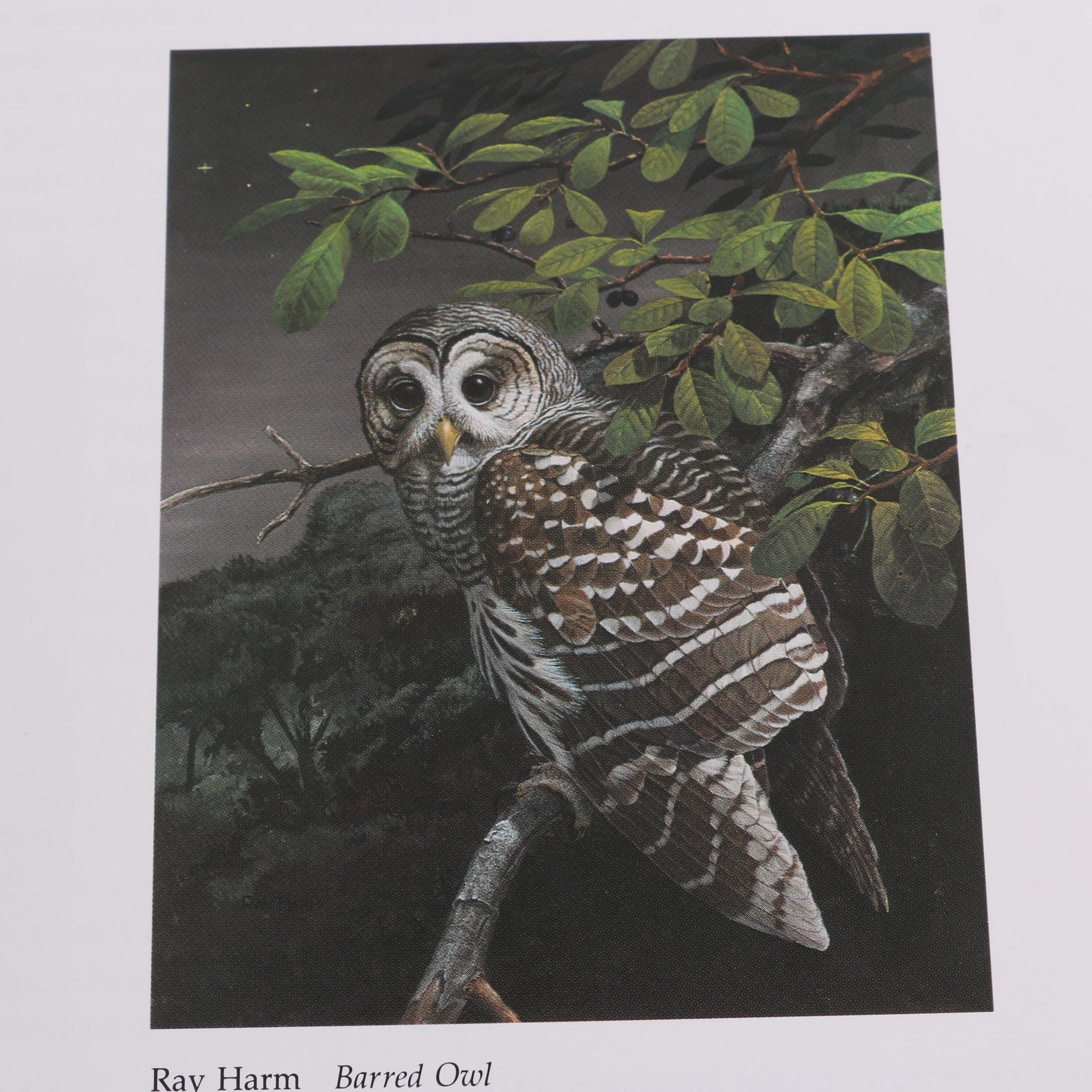 1993 First Artabras Edition "Audubon's Birds of America" Baby Elephant Folio