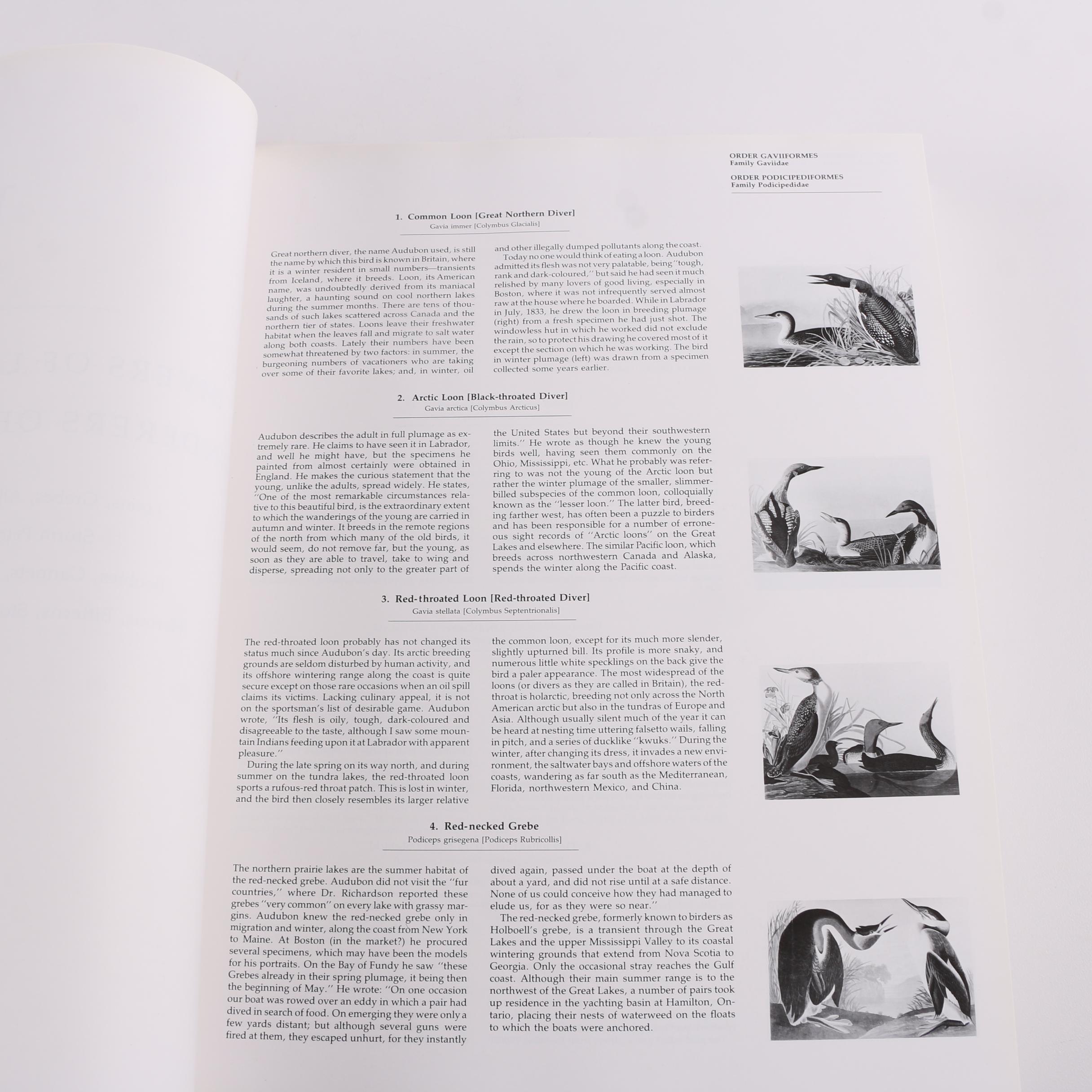 1993 First Artabras Edition "Audubon's Birds of America" Baby Elephant Folio