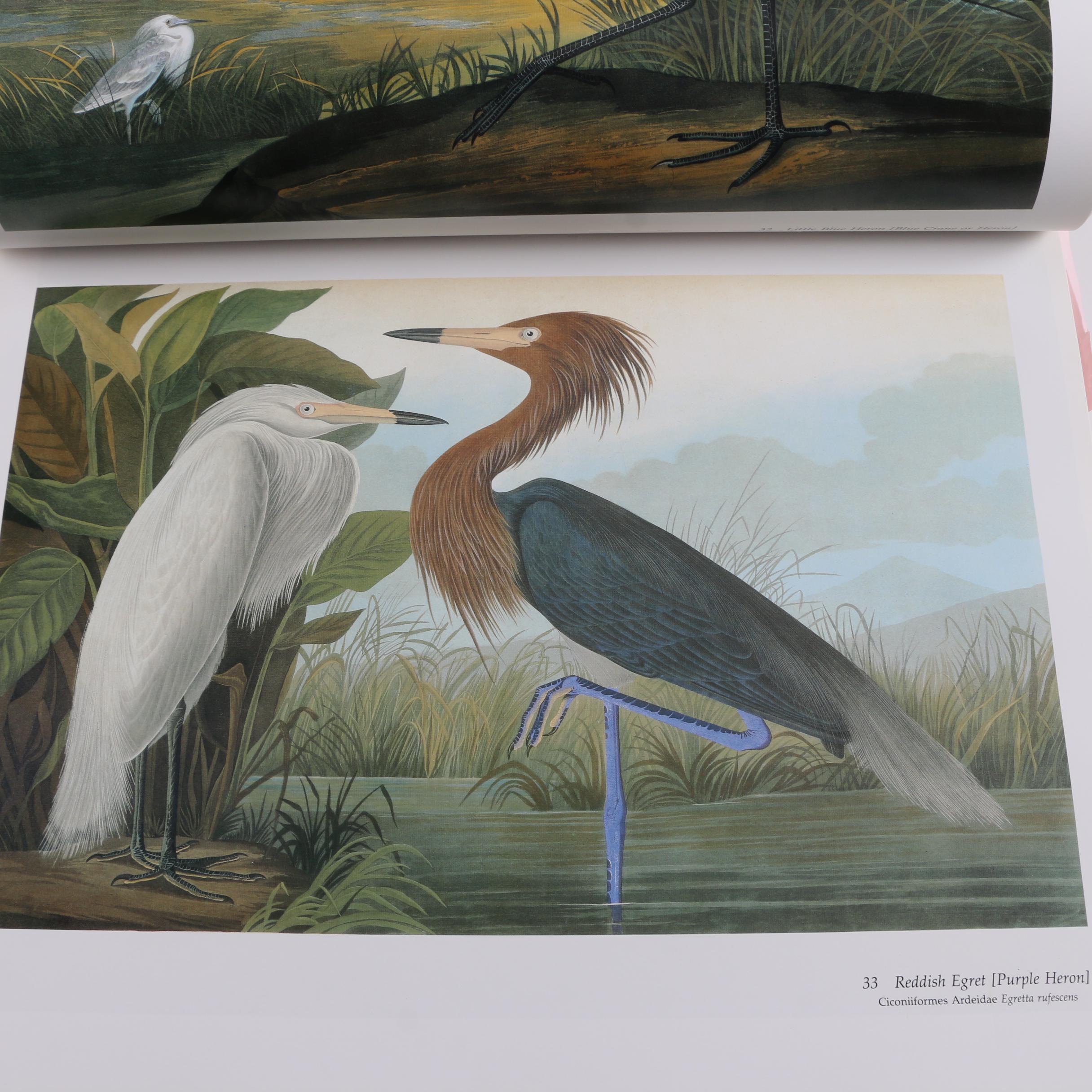 1993 First Artabras Edition "Audubon's Birds of America" Baby Elephant Folio