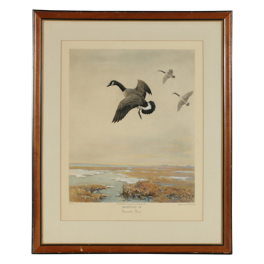 Roland Clark Hand-Painted Photogravure "Dropping In - Canada Goose"