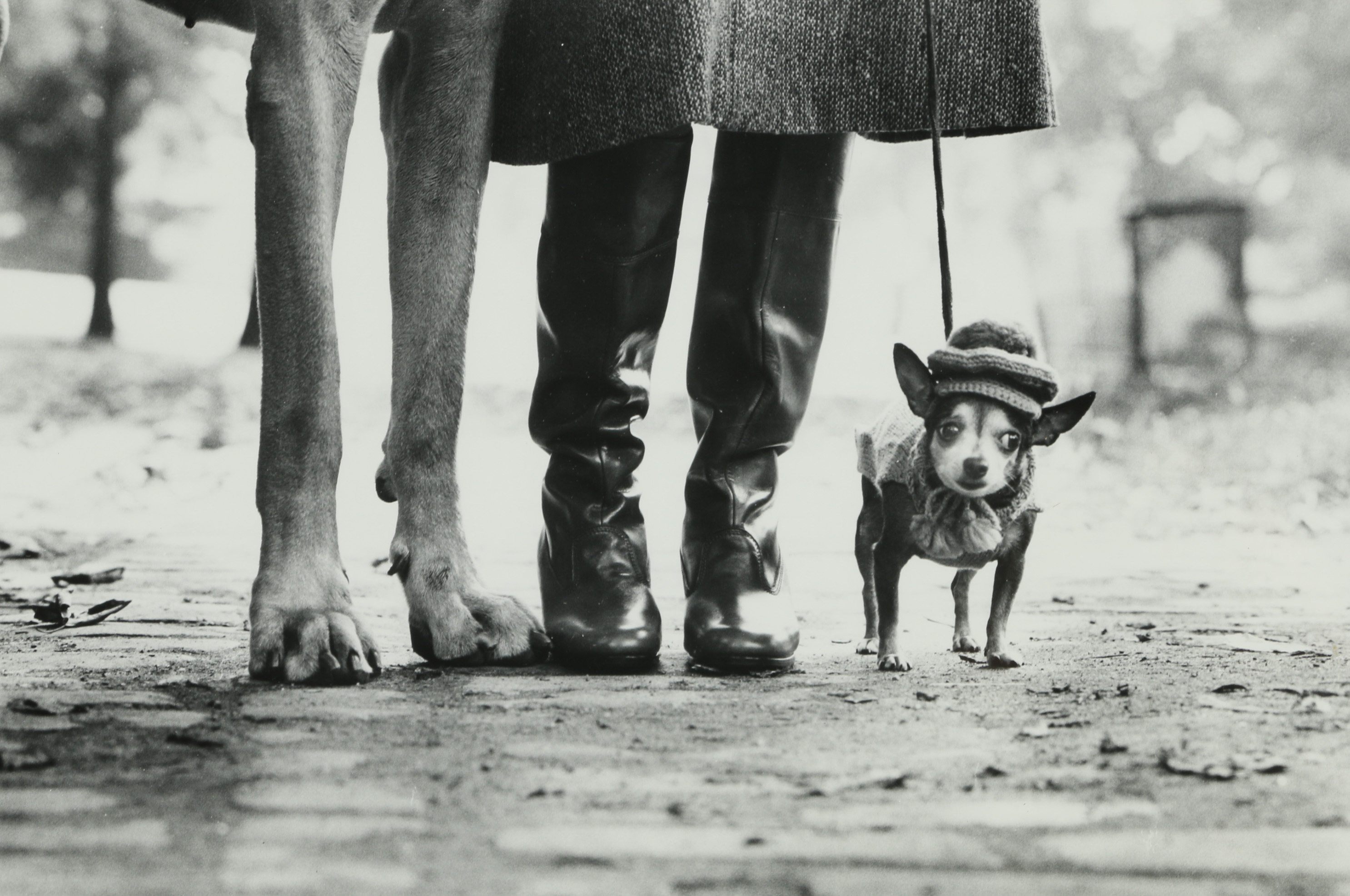 Elliot Erwitt Gelatin Silver Print "New York City (Felix, Gladys, and Rover)"