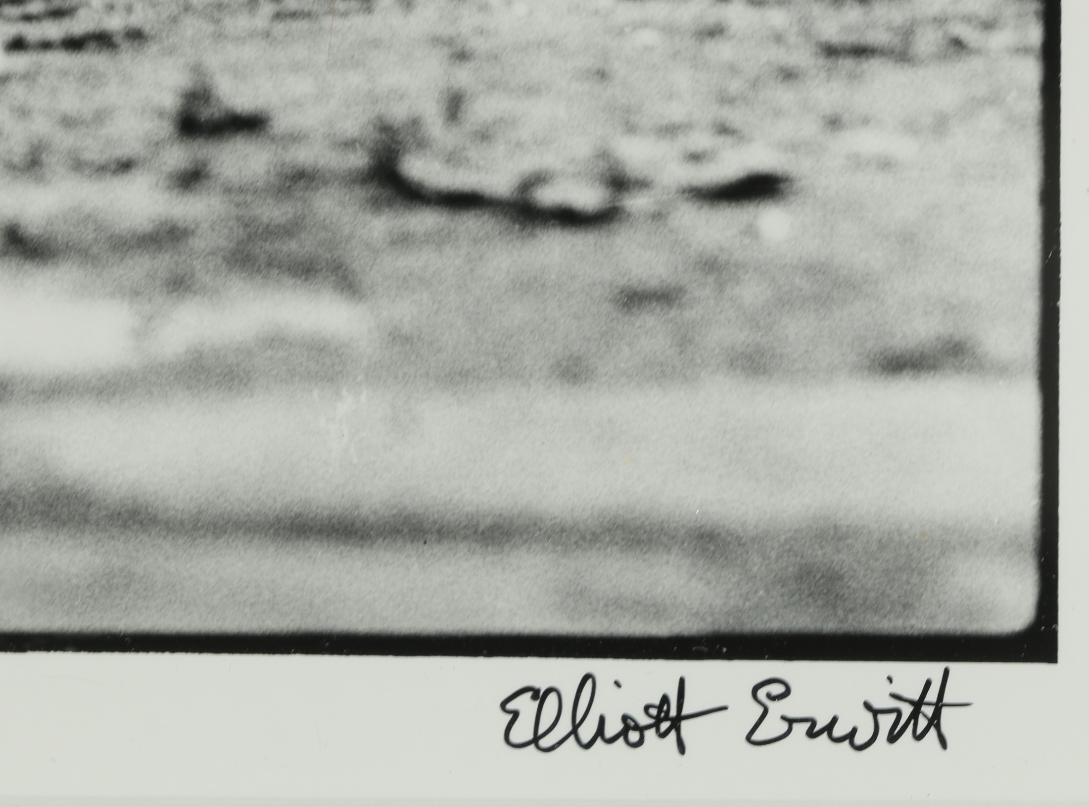 Elliot Erwitt Gelatin Silver Print "New York City (Felix, Gladys, and Rover)"