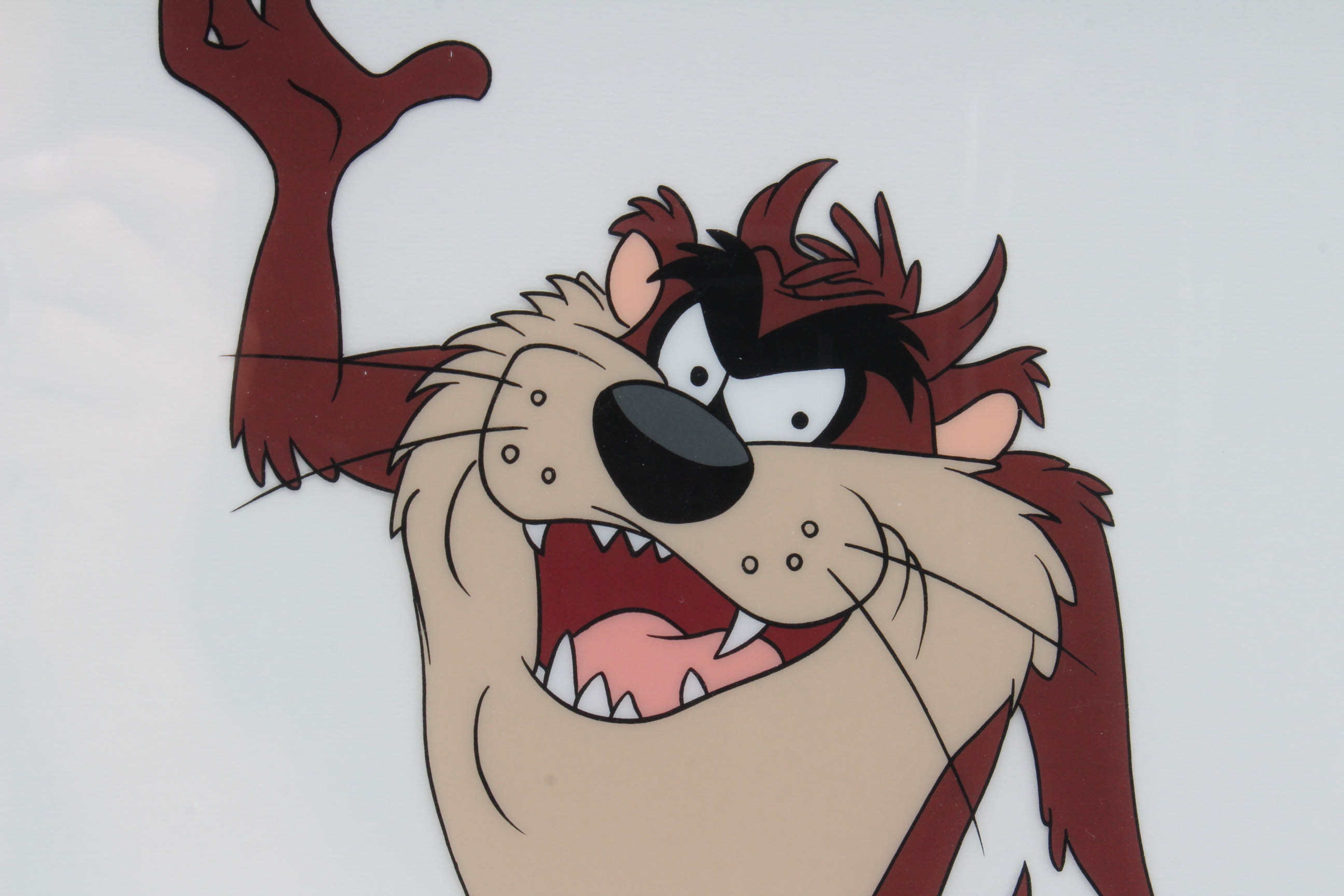 Warner Bros. 1992 Limited Edition Animation Cel "Taz Portrait"