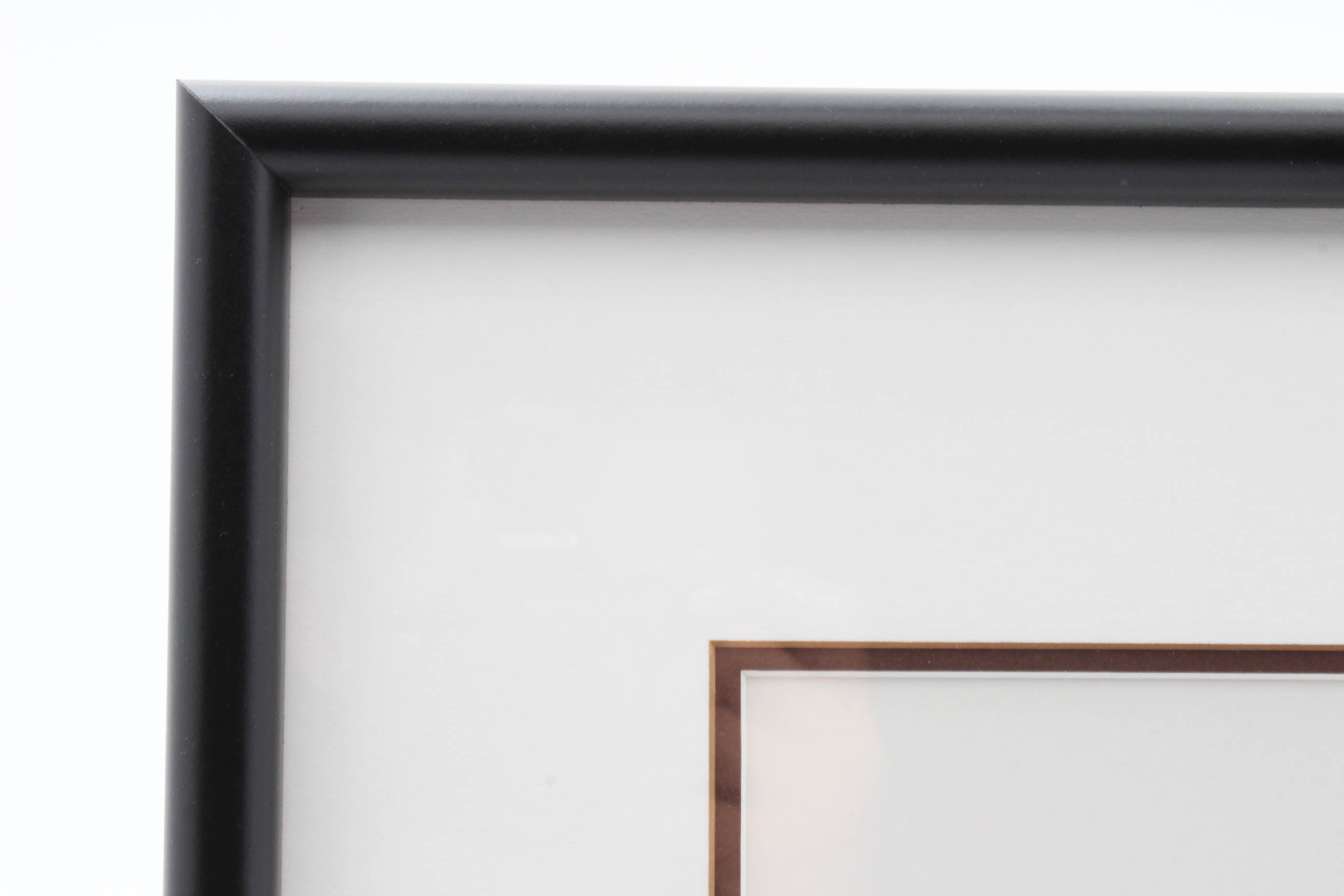 Warner Bros. 1992 Limited Edition Animation Cel "Taz Portrait"