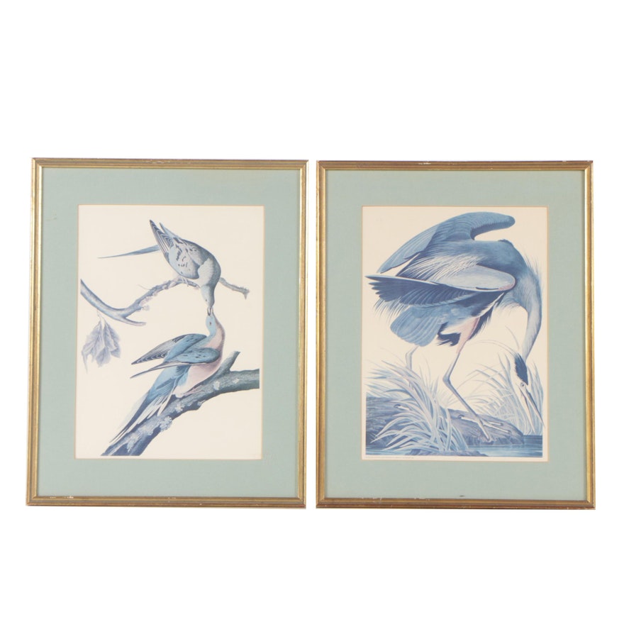 After John James Audubon Offset Lithographs