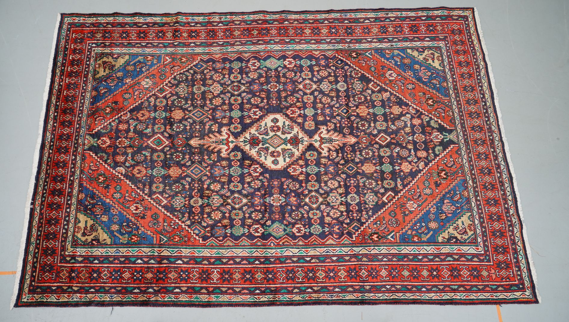 Hand-Knotted Persian Hamadan Wool Area Rug
