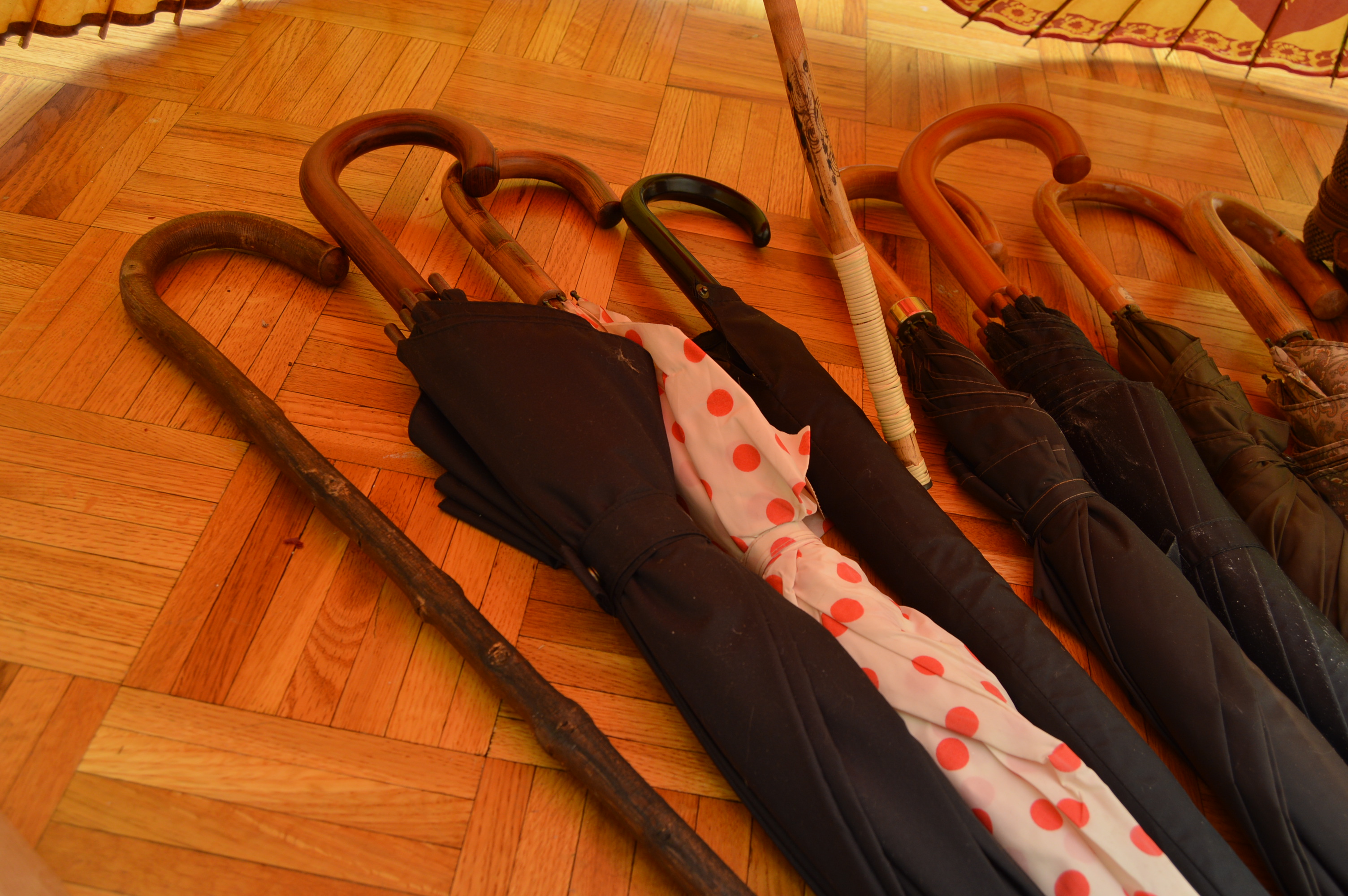 Umbrellas with Brooks Brothers and Hartman Luggage