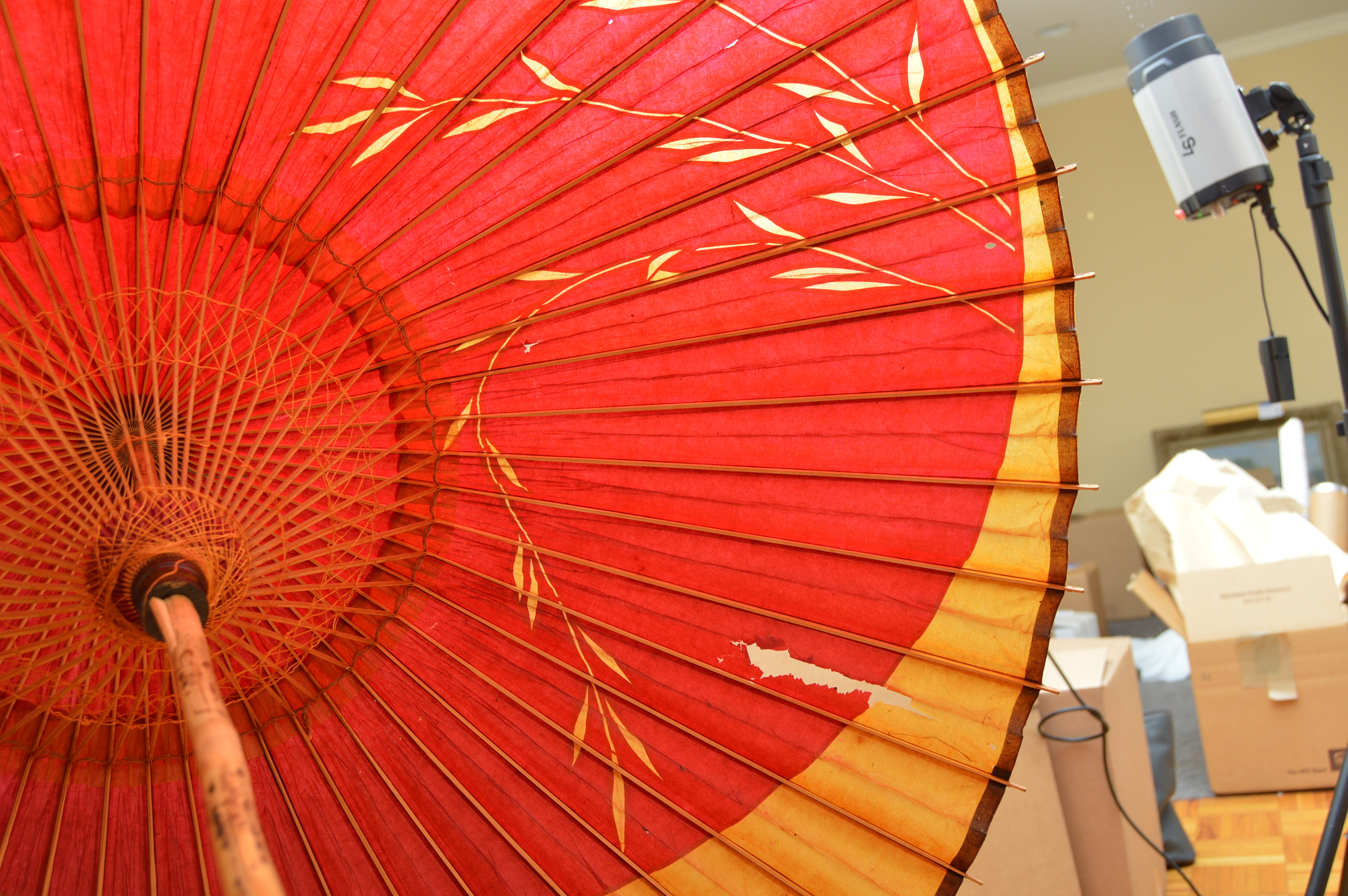 Umbrellas with Brooks Brothers and Hartman Luggage