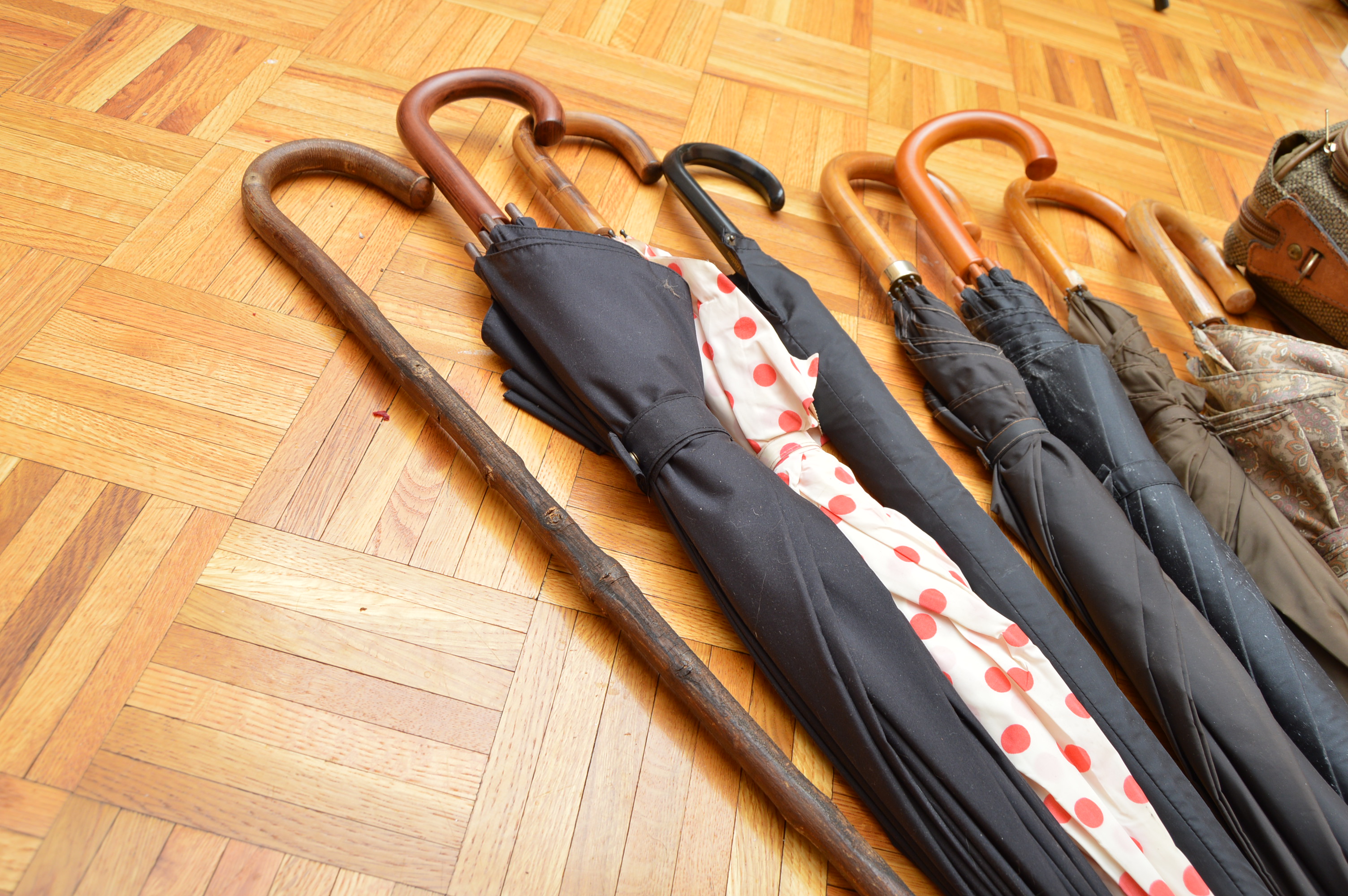 Umbrellas with Brooks Brothers and Hartman Luggage