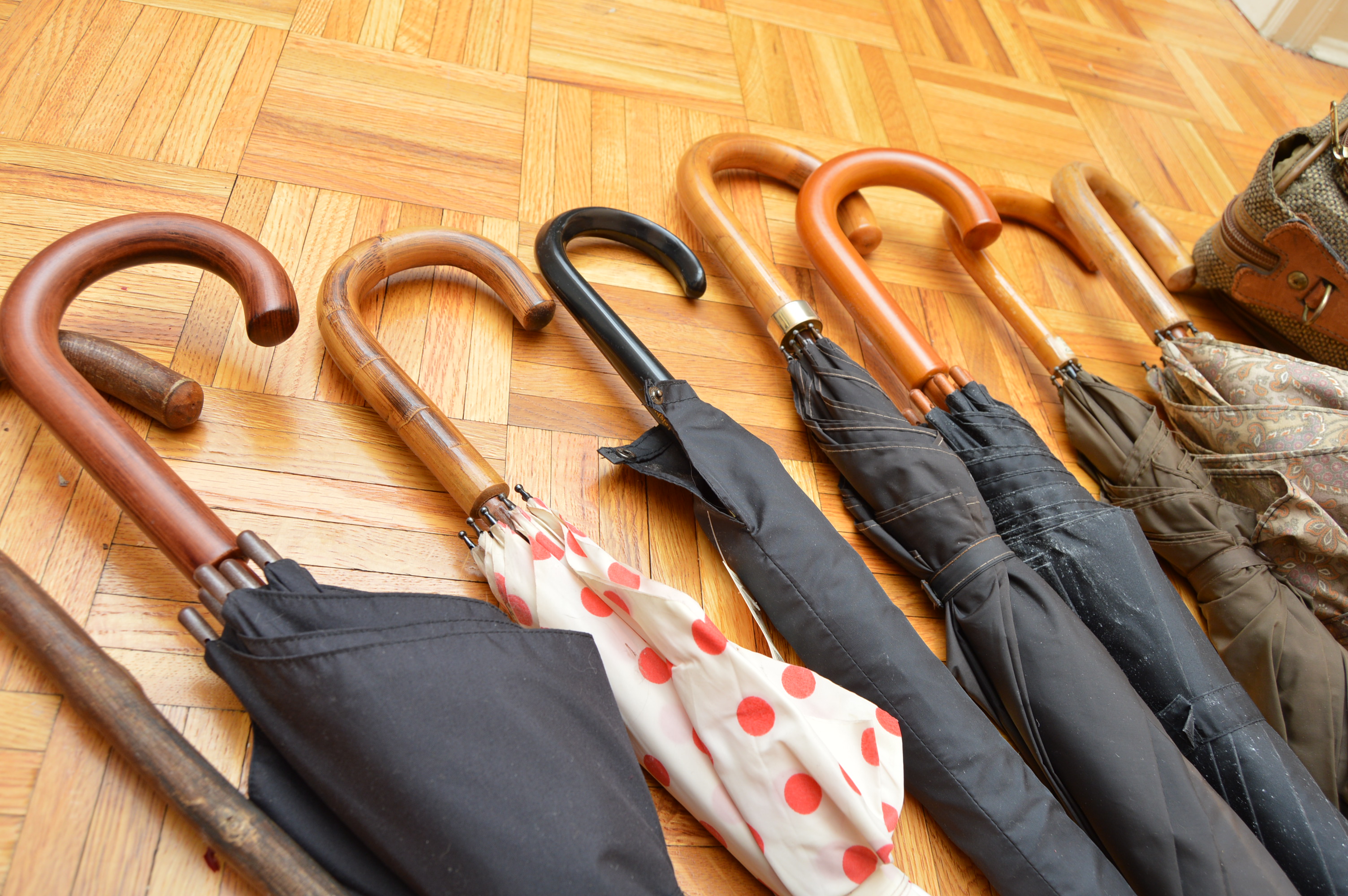 Umbrellas with Brooks Brothers and Hartman Luggage