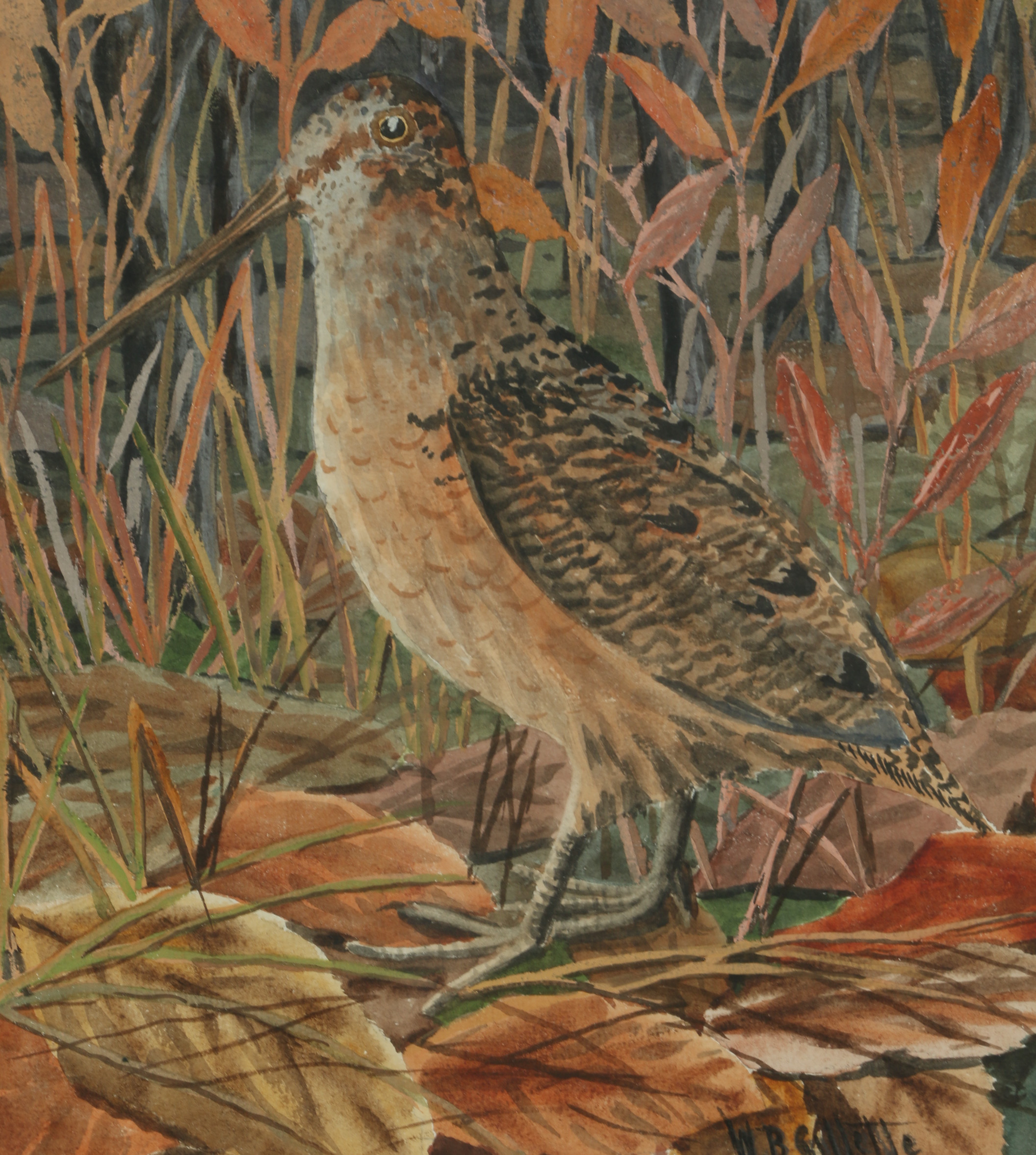 William B. Gillette Watercolor Painting