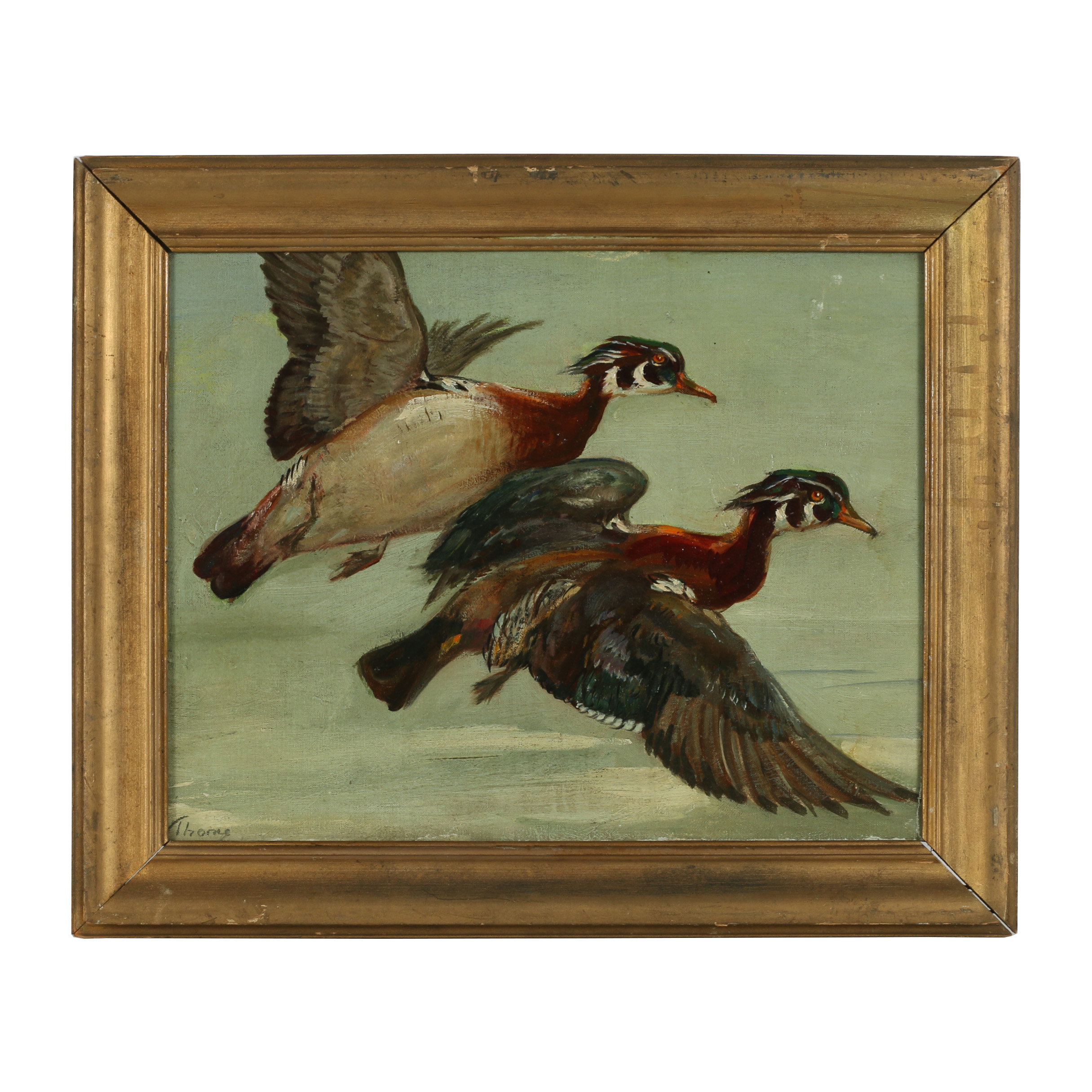 Diana Thorne Oil Painting