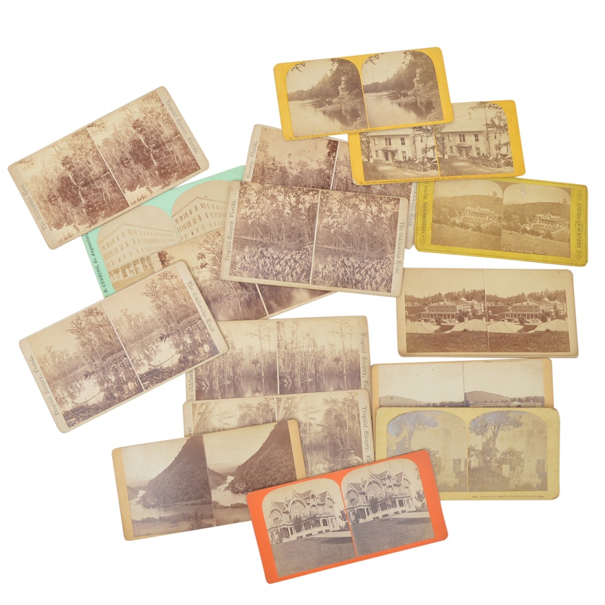 19 Early 20th Century Stereoscopic Cards with Florida Landscapes, Greenbrier