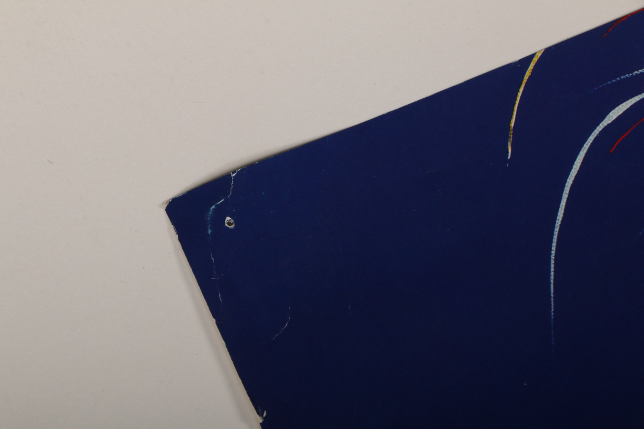 Walt Disney World 1996 Commemorative Poster "25 Magical Years"