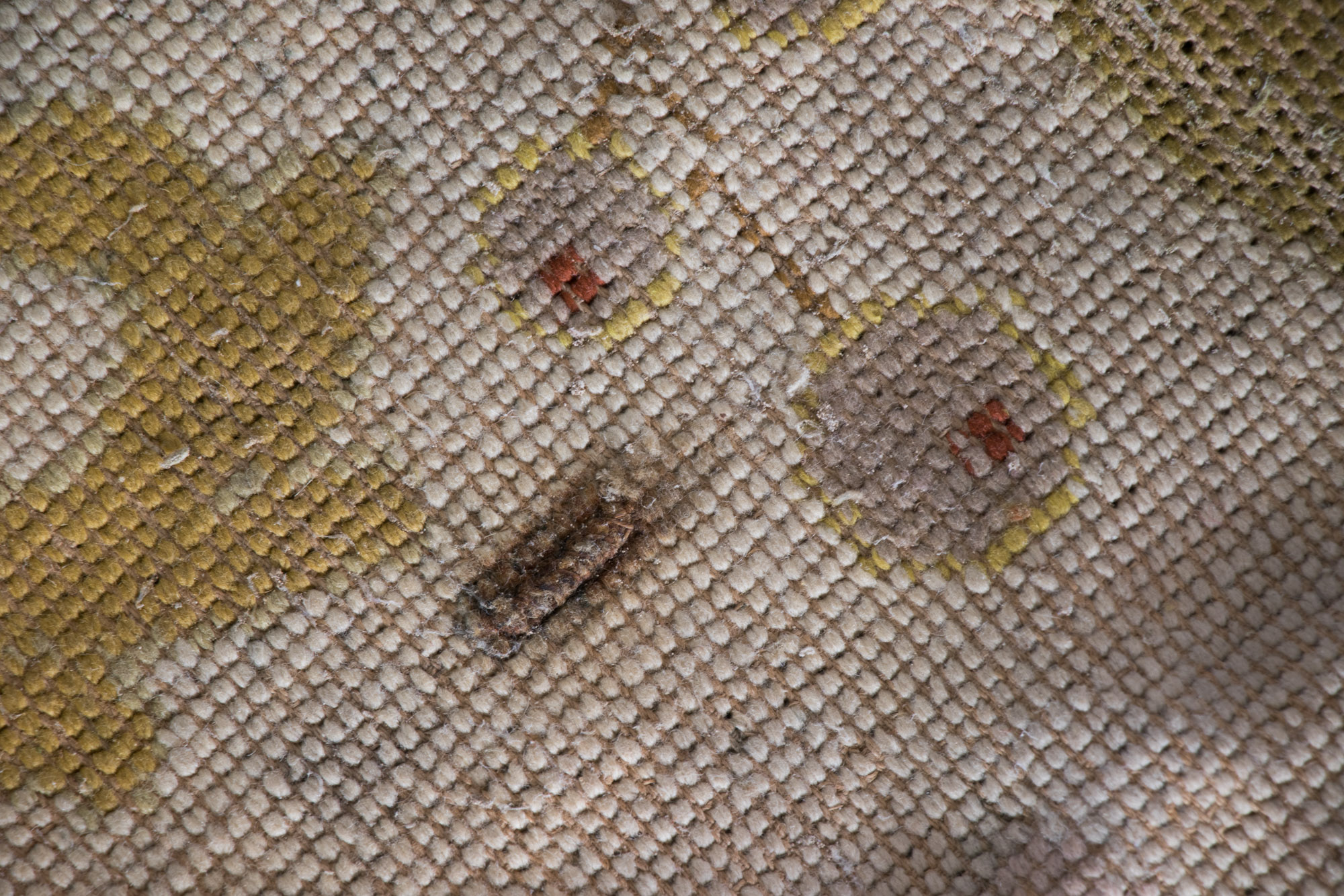 Vintage Directoire Style Needlepoint Area Rug