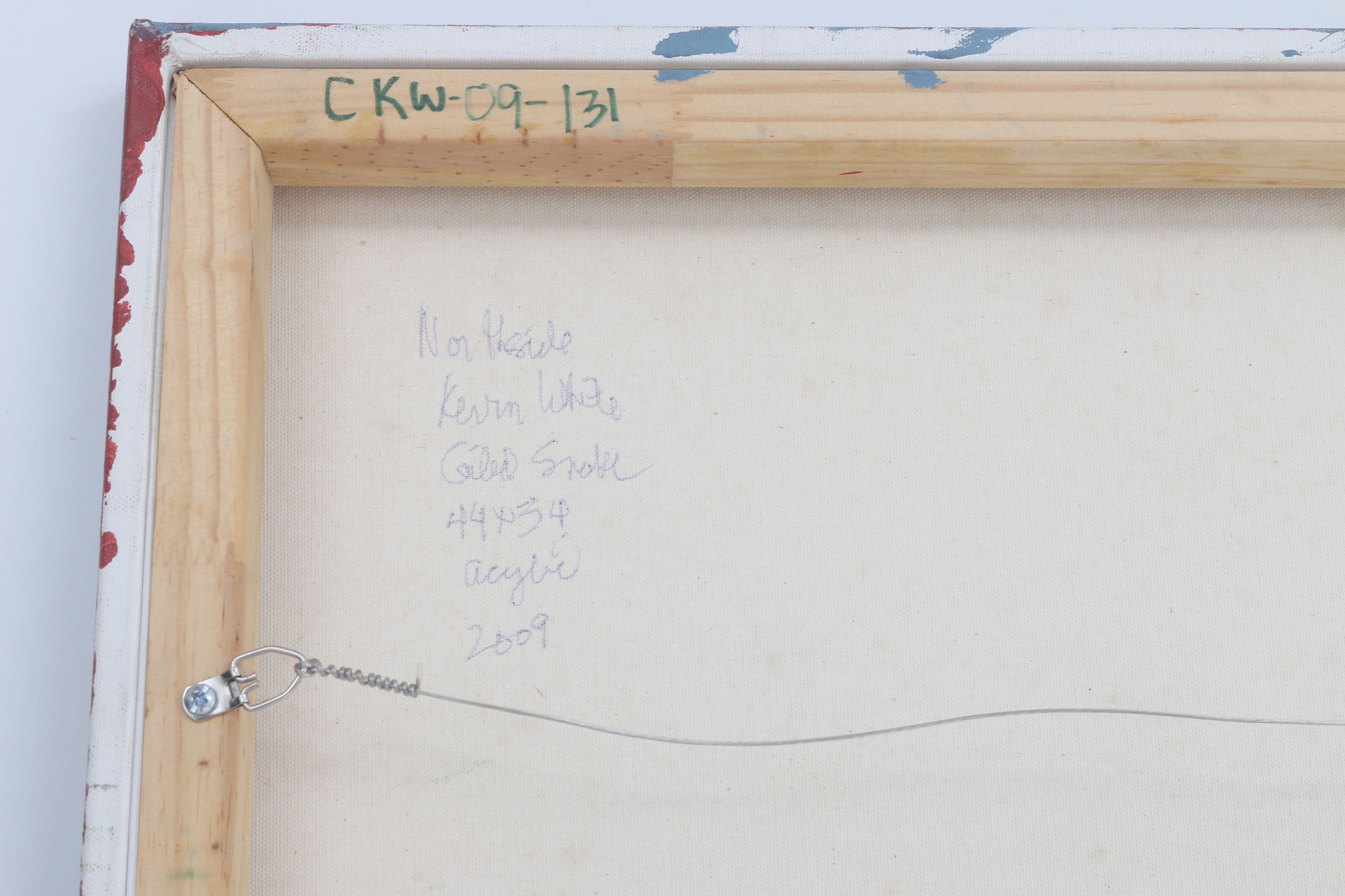 Kevin White 2009 Acrylic Painting on Canvas "Coiled Snake"