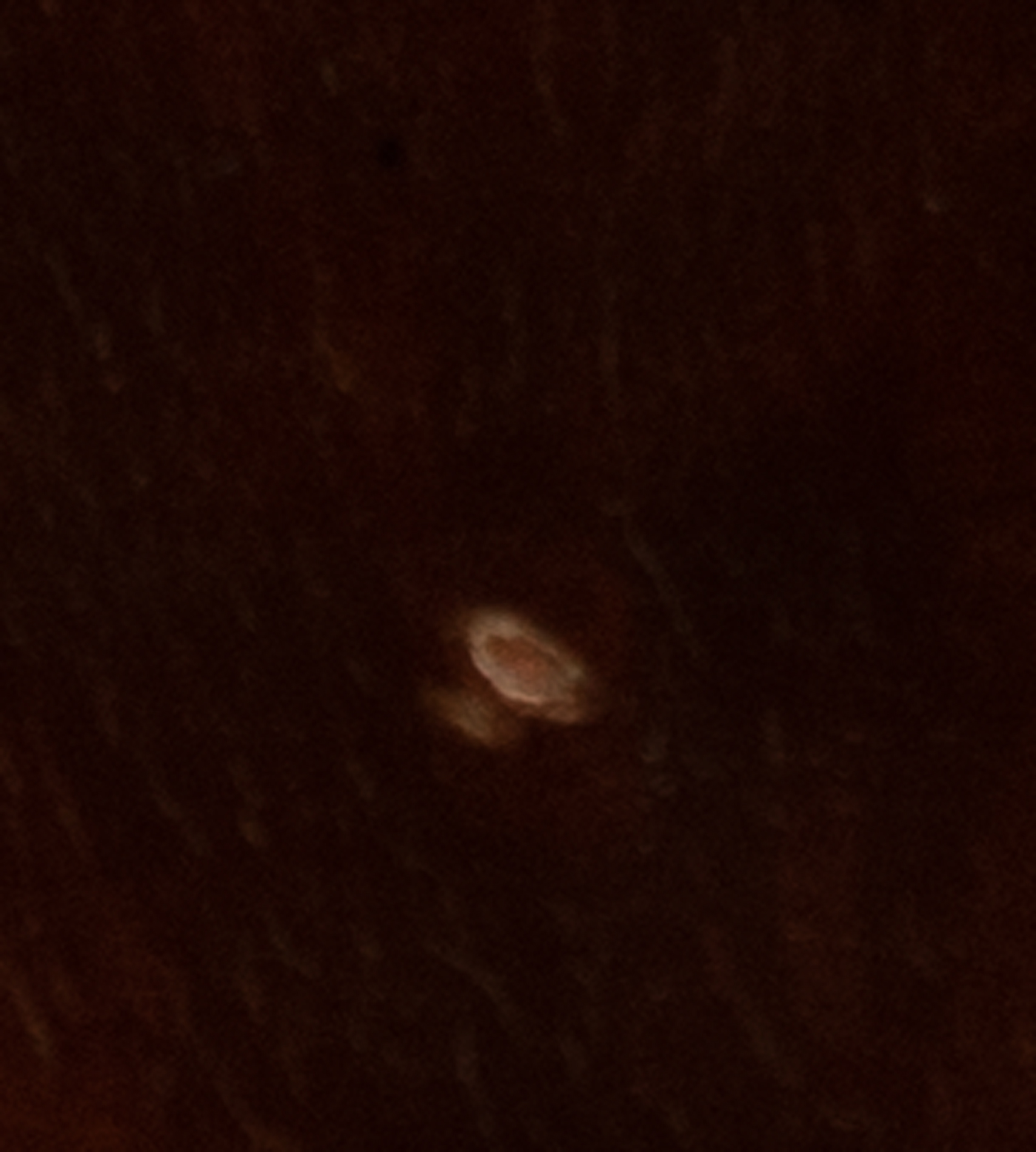 Chippendale Style Writing Desk by Maitland-Smith