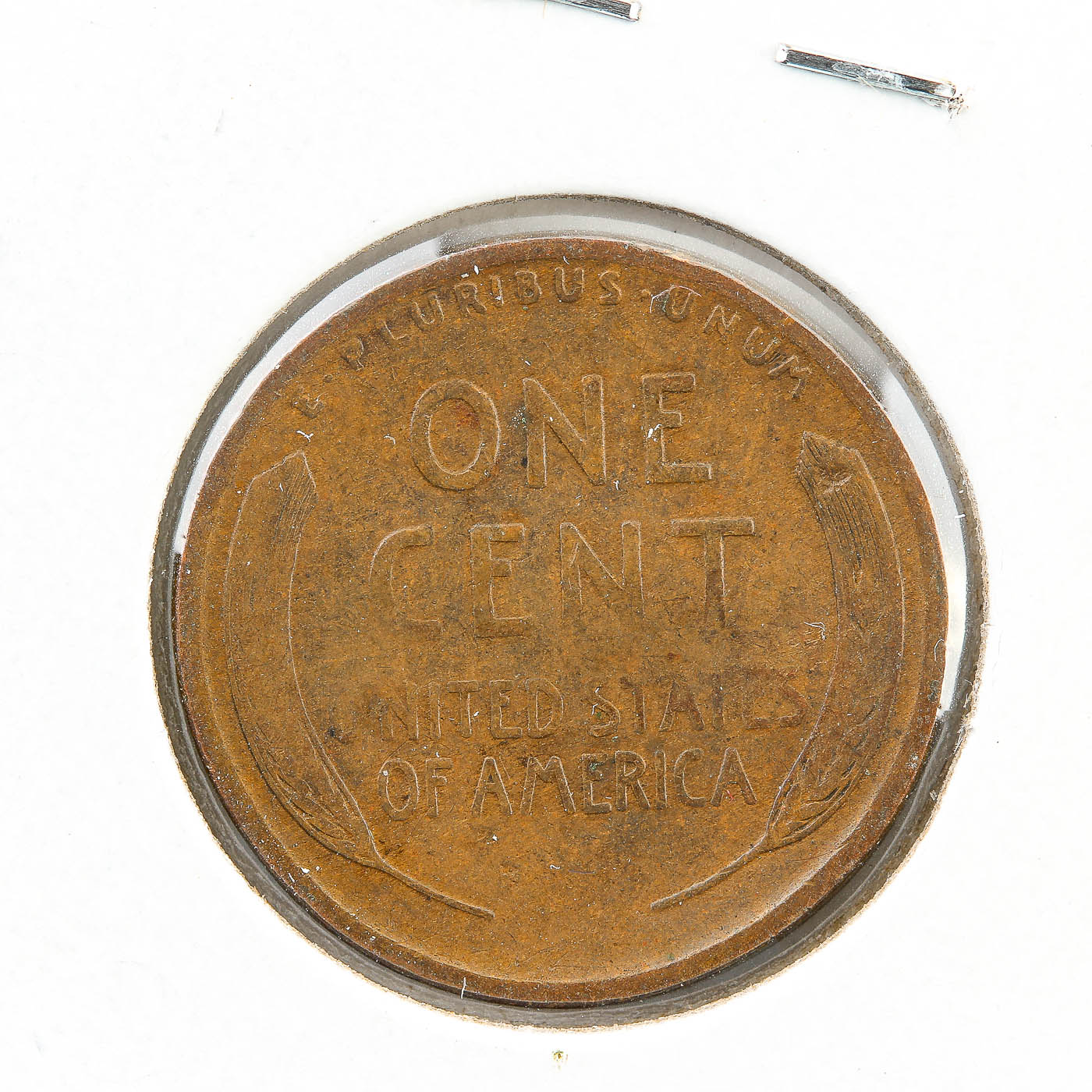 Seventeen First Year of Issue Lincoln Wheat Cents