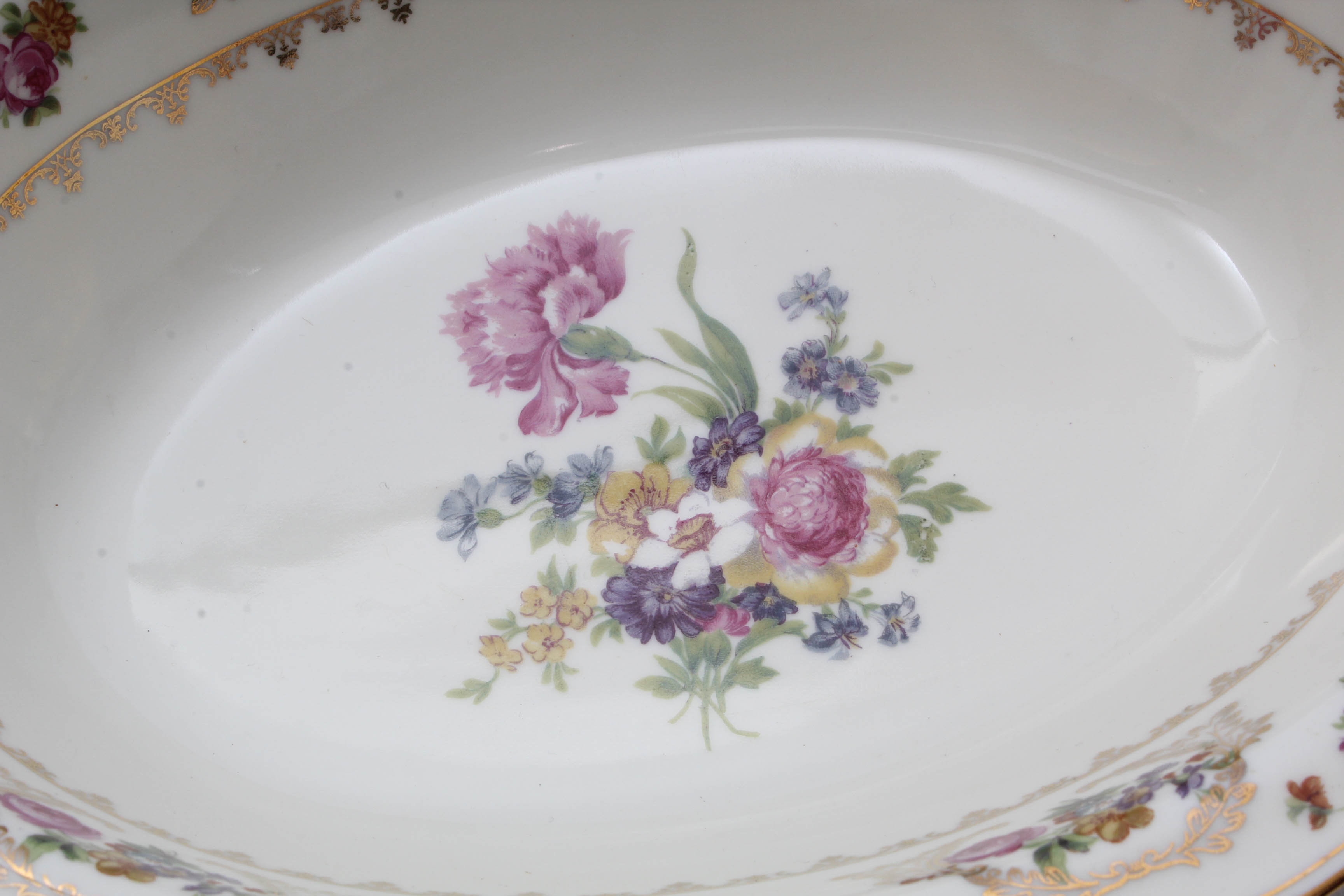 Baronet "Caprice" Dinnerware from Bohemia Czechoslovakia