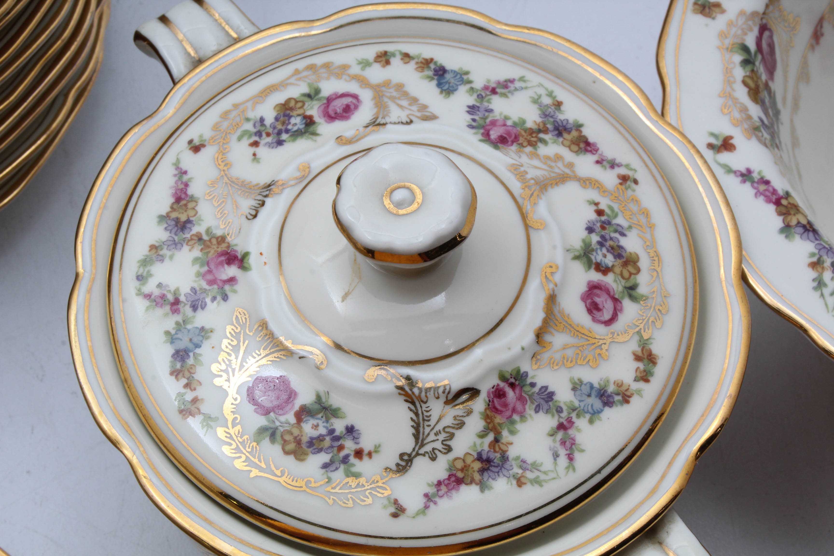 Baronet "Caprice" Dinnerware from Bohemia Czechoslovakia