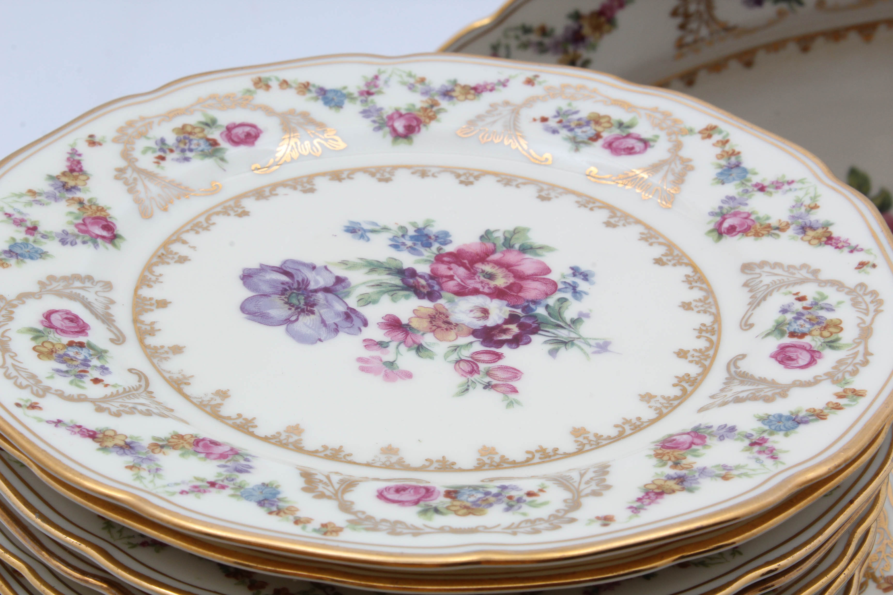 Baronet "Caprice" Dinnerware from Bohemia Czechoslovakia