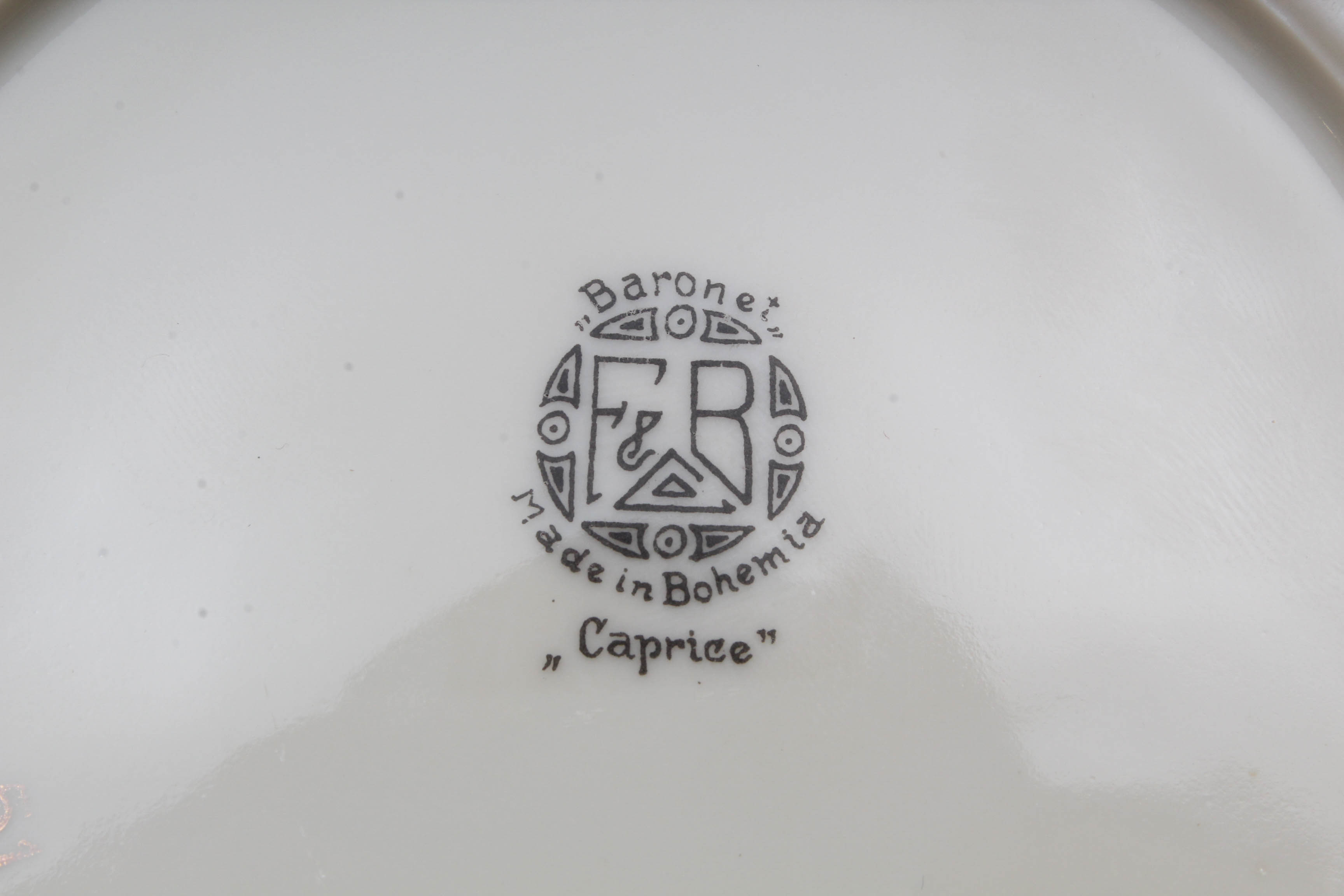 Baronet "Caprice" Dinnerware from Bohemia Czechoslovakia