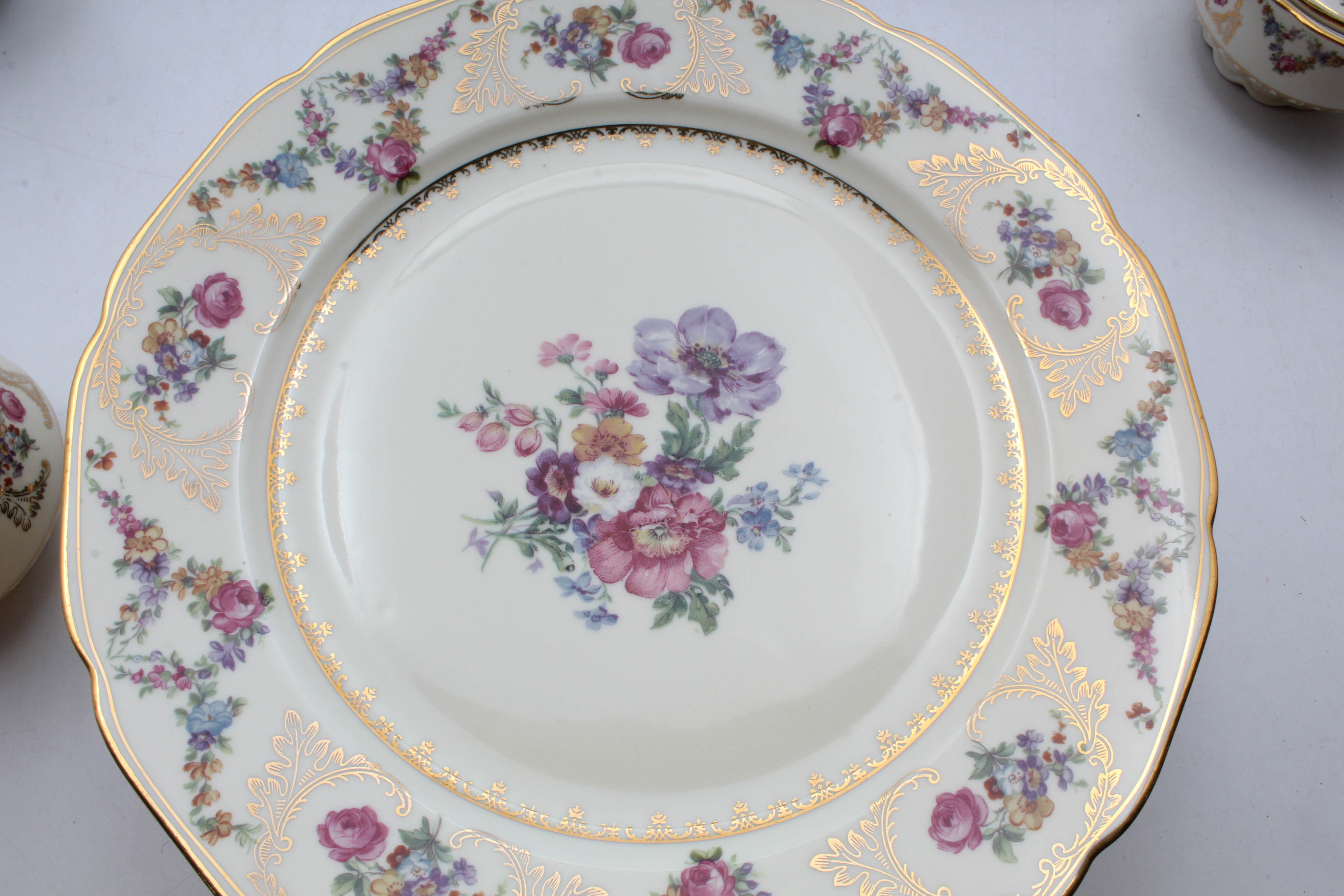 Baronet "Caprice" Dinnerware from Bohemia Czechoslovakia