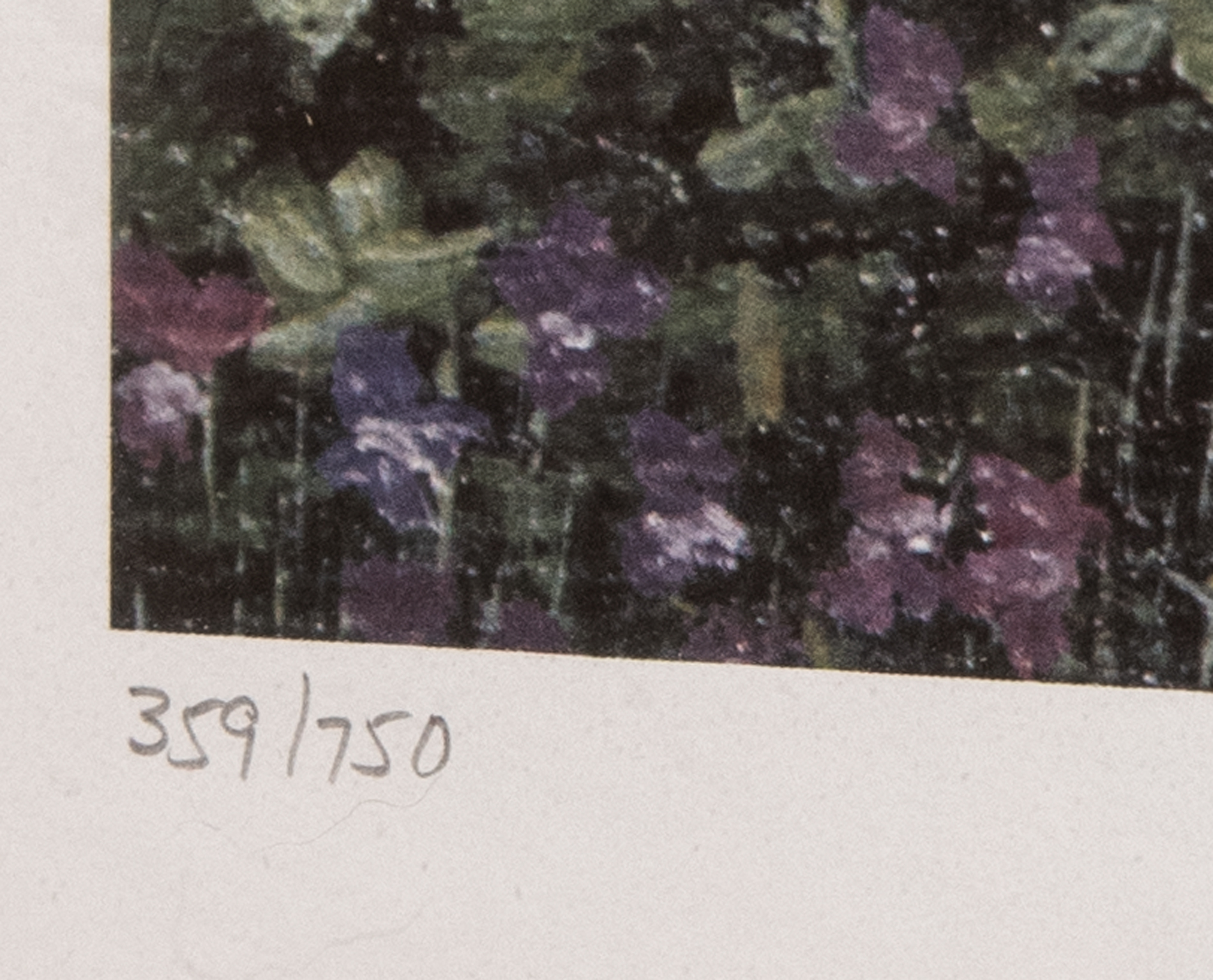 Elaine Broadley Limited Edition "Garden Archway" Offset Lithograph