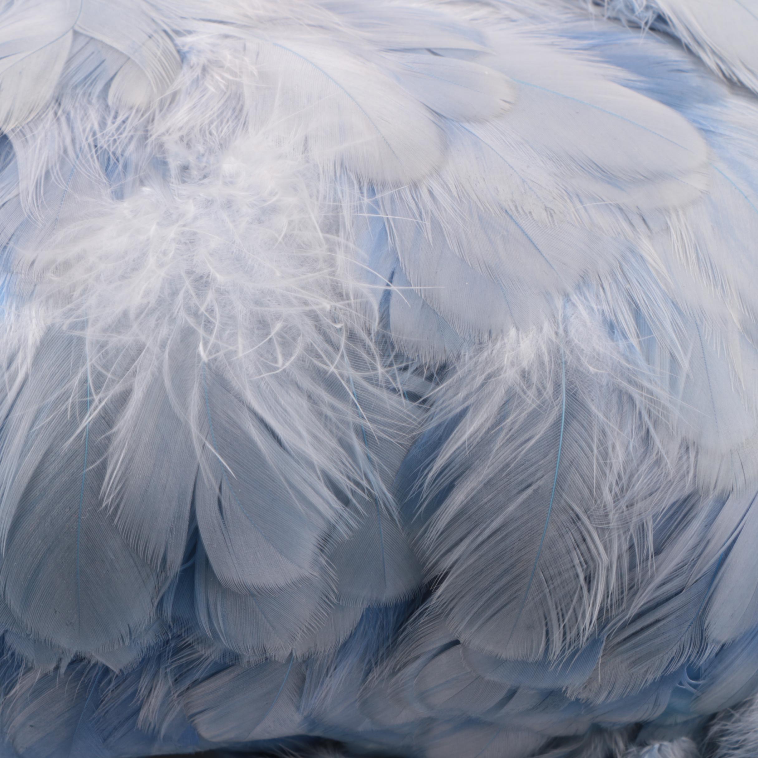 Women's Mid Century Feather Caps and Turban including The Halle Bros. Co.