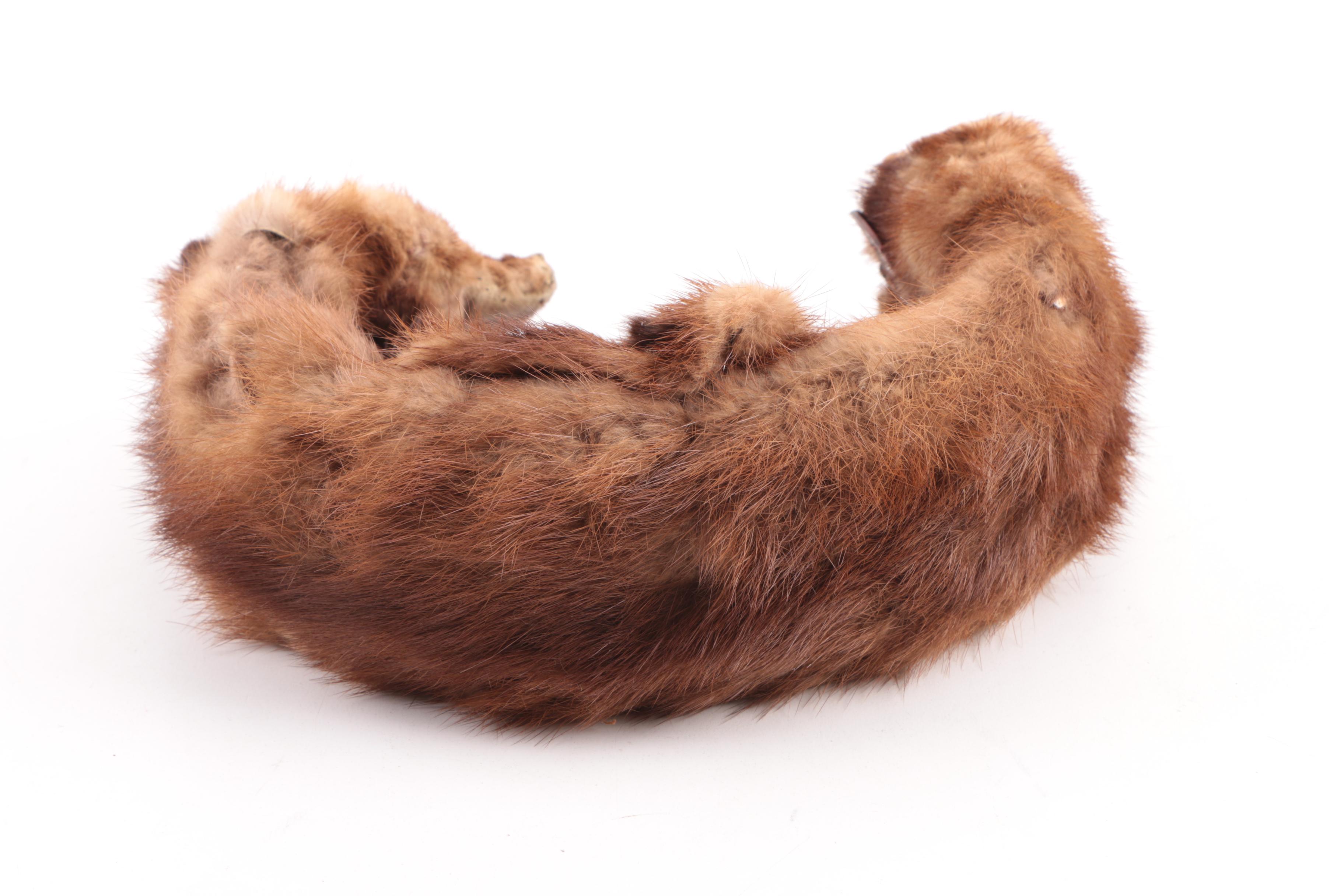 Women's 1960s Vintage Elsa Schiaparelli Fox Pelt Fascinator