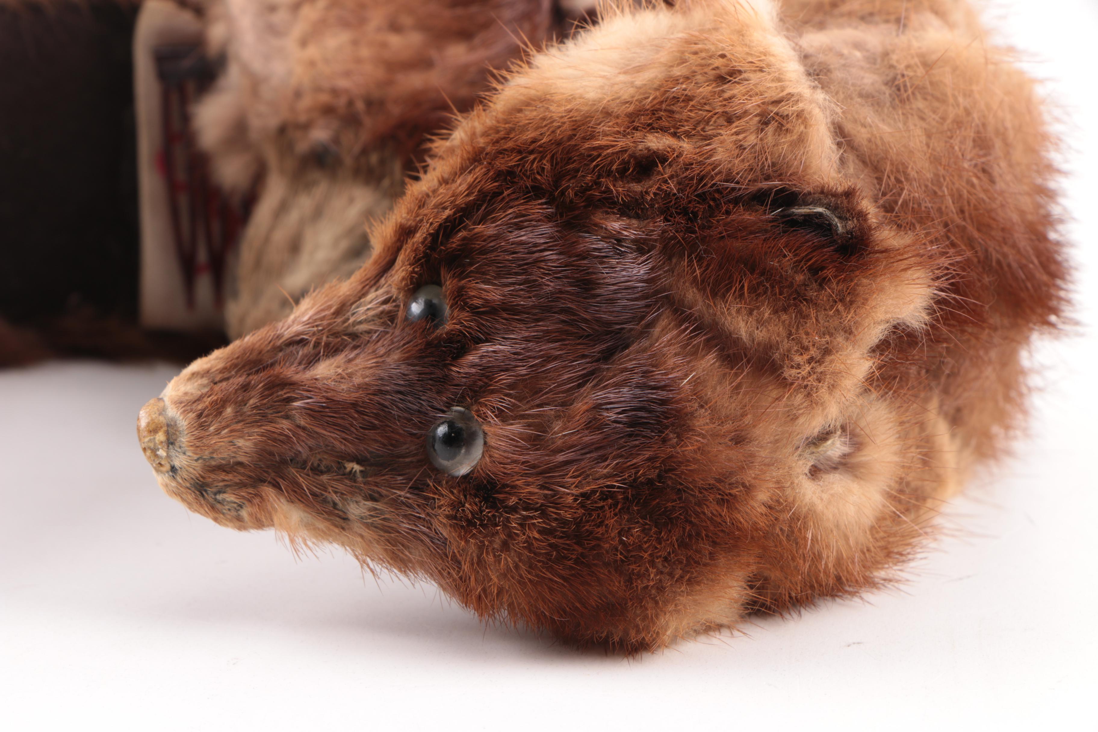 Women's 1960s Vintage Elsa Schiaparelli Fox Pelt Fascinator